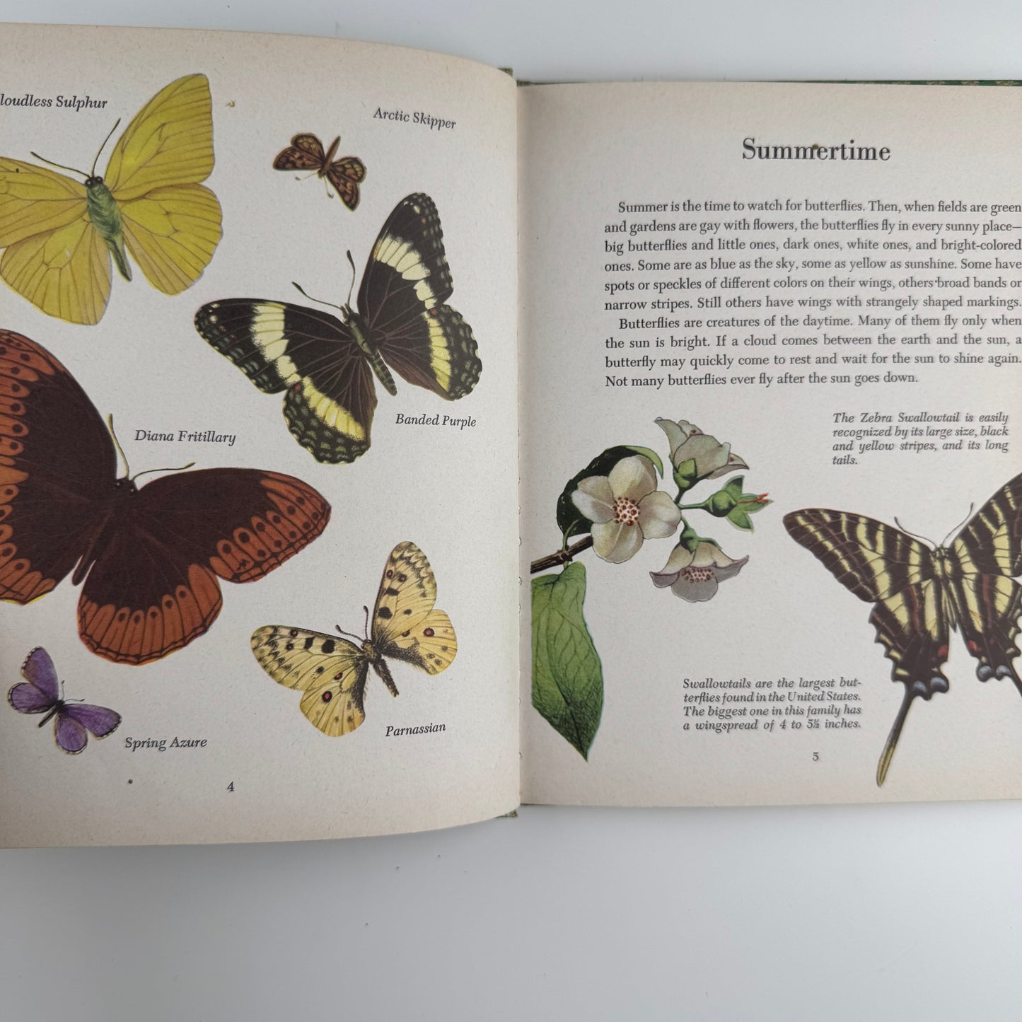 Butterflies and Moths, A Deluxe Edition, Golden Library of Knowledge, 1958 Nature Study Hardcover
