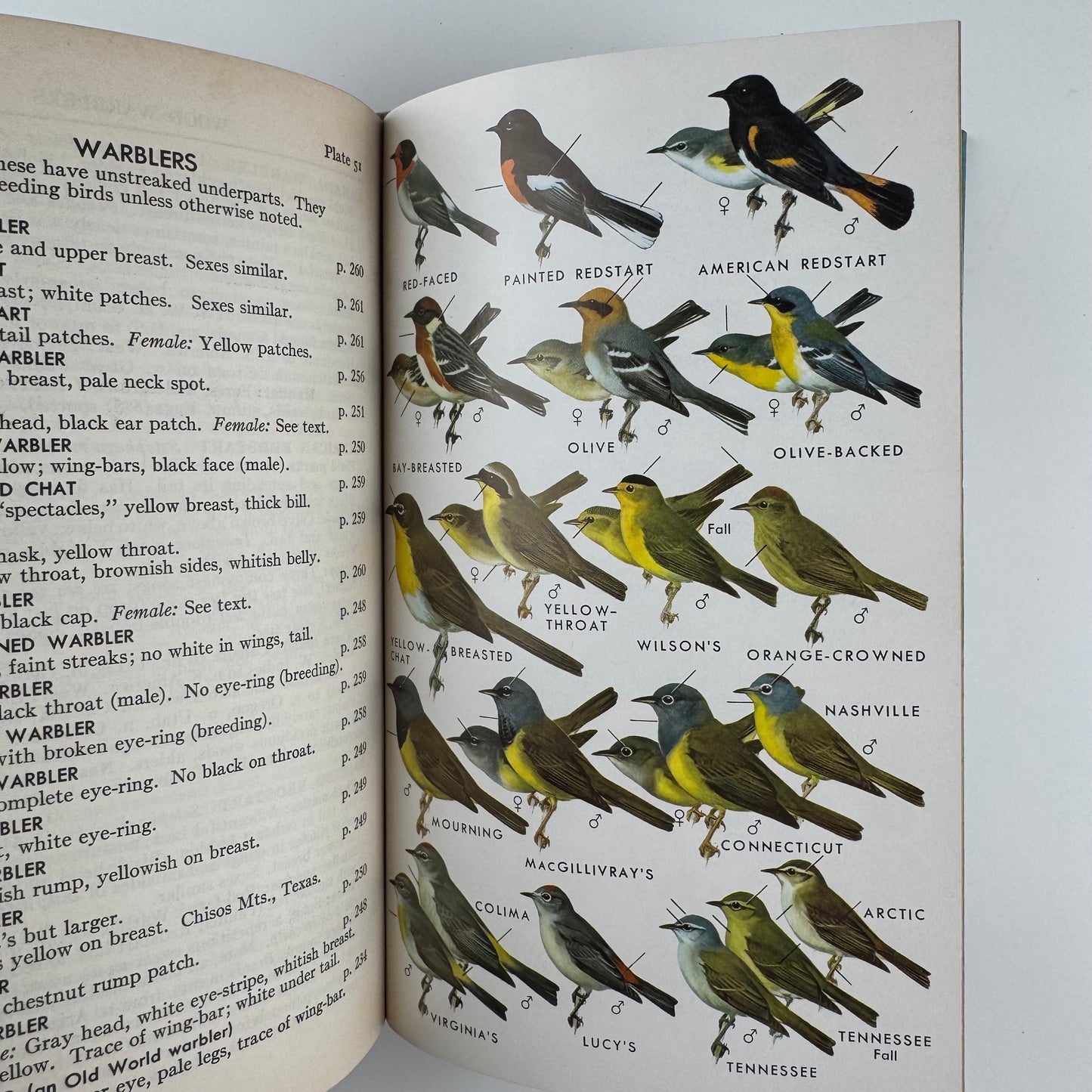 Roger Tory Peterson Set, A Field Guide to Western Birds and Field Guide to the Birds