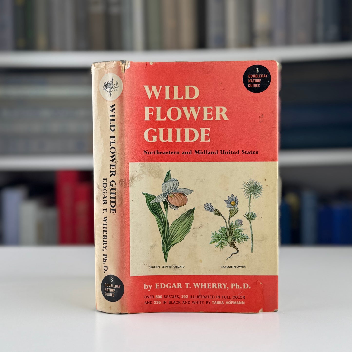 Wild Flower Guide: Northeastern and Midland United States, Doubleday Nature Guides, 1948