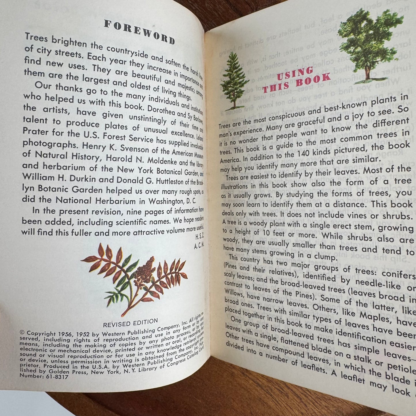 Trees - A Guide to Familiar American Trees, A Golden Nature Guide, 1956 Paperback