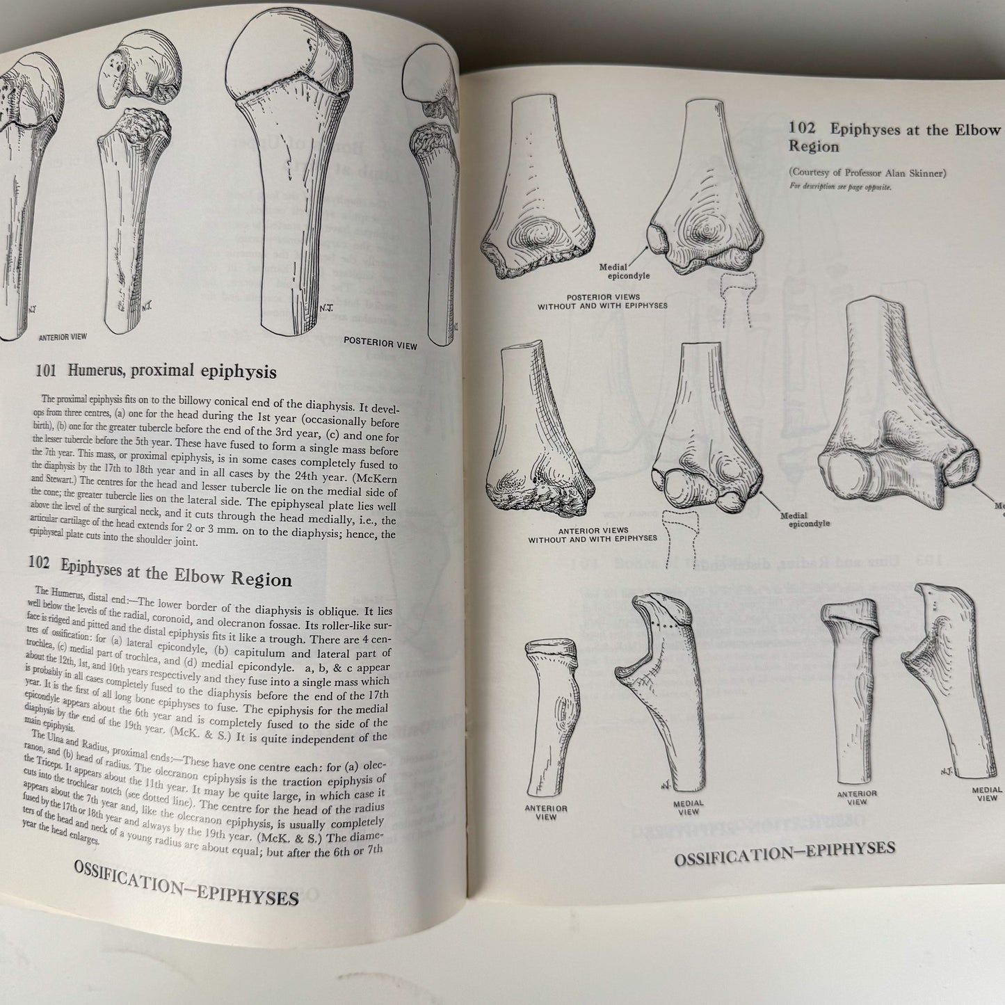 Grant's Atlas of Anatomy, 6th Edition, 1975 Illustrated Hardcover