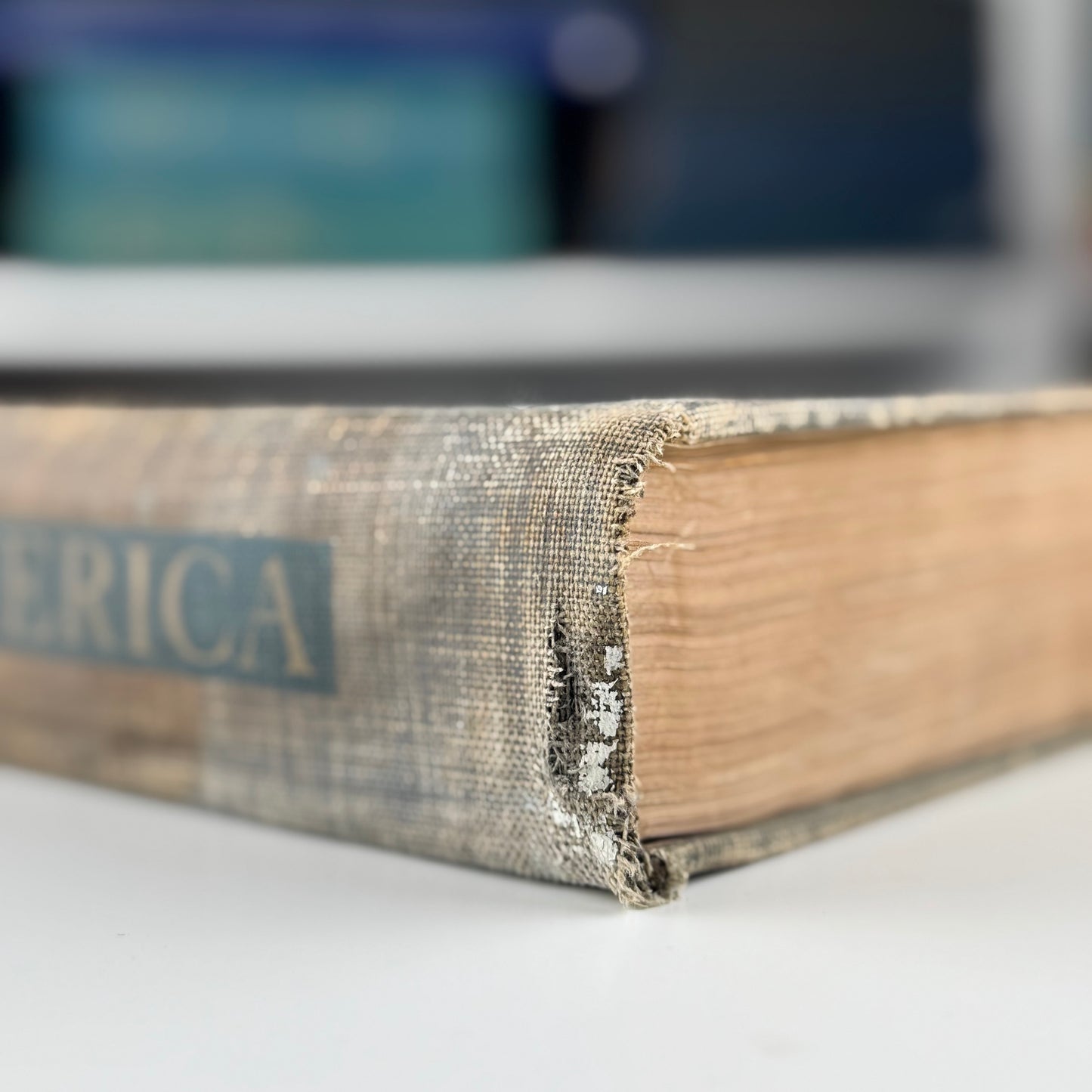 Birds of America, Oversized Illustrated 1936 Hardcover, Brasher, Fuertes