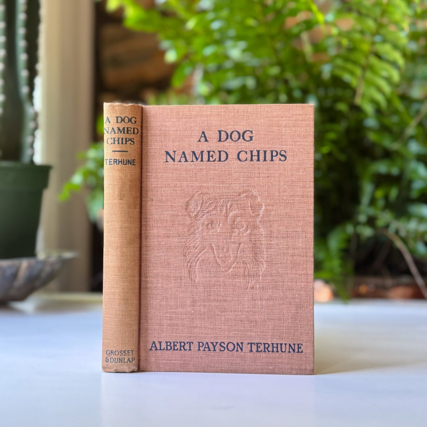 A Dog Named Chips, Albert Payson Terhune 1931 Hardcover