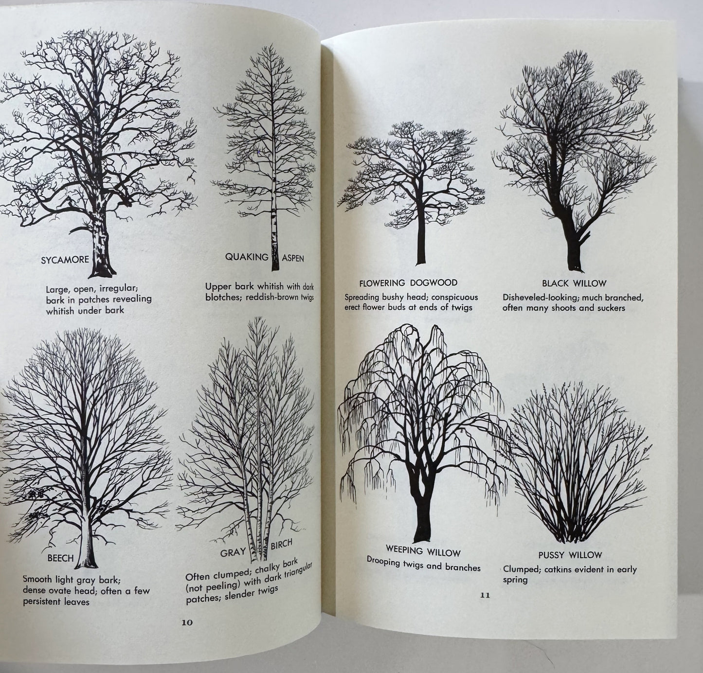 A Field Guide to Trees and Shrubs, Roger Tory Peterson 1972 Hardcover