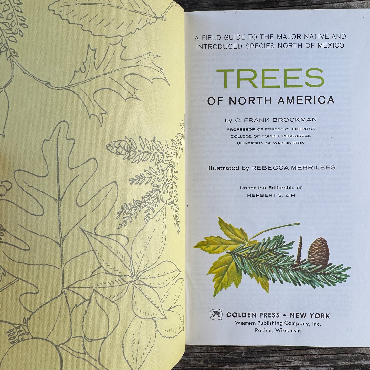 Trees of North America, A Golden Guide Paperback, Vintage 1968