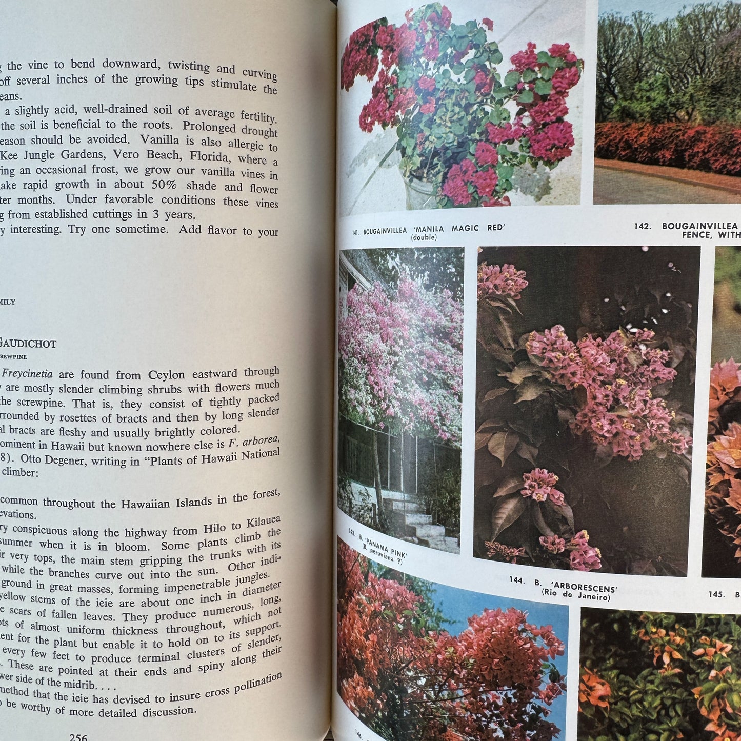 Flowering Vines of the World, Edwin A. Menninger, 1970 Hardcover