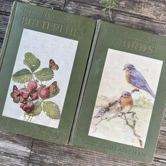 Little Nature Library: Birds Worth Knowing & Butterflies Worth Knowing, Matched Set of 2 Antique Hardcovers, 1925
