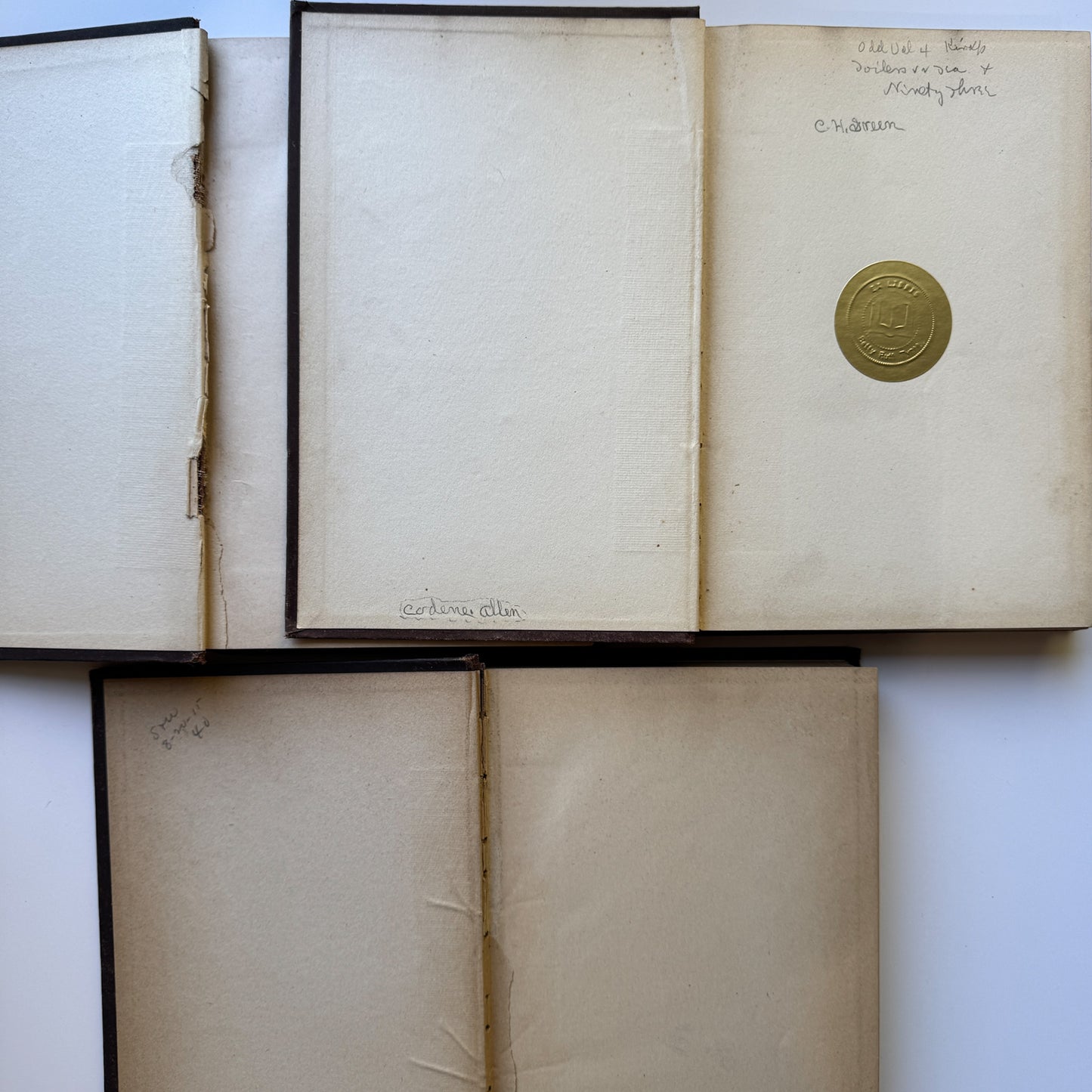 The Works of Victor Hugo, Illustrated, Partial Set, Antique Collier Brown Oversized Hardcovers