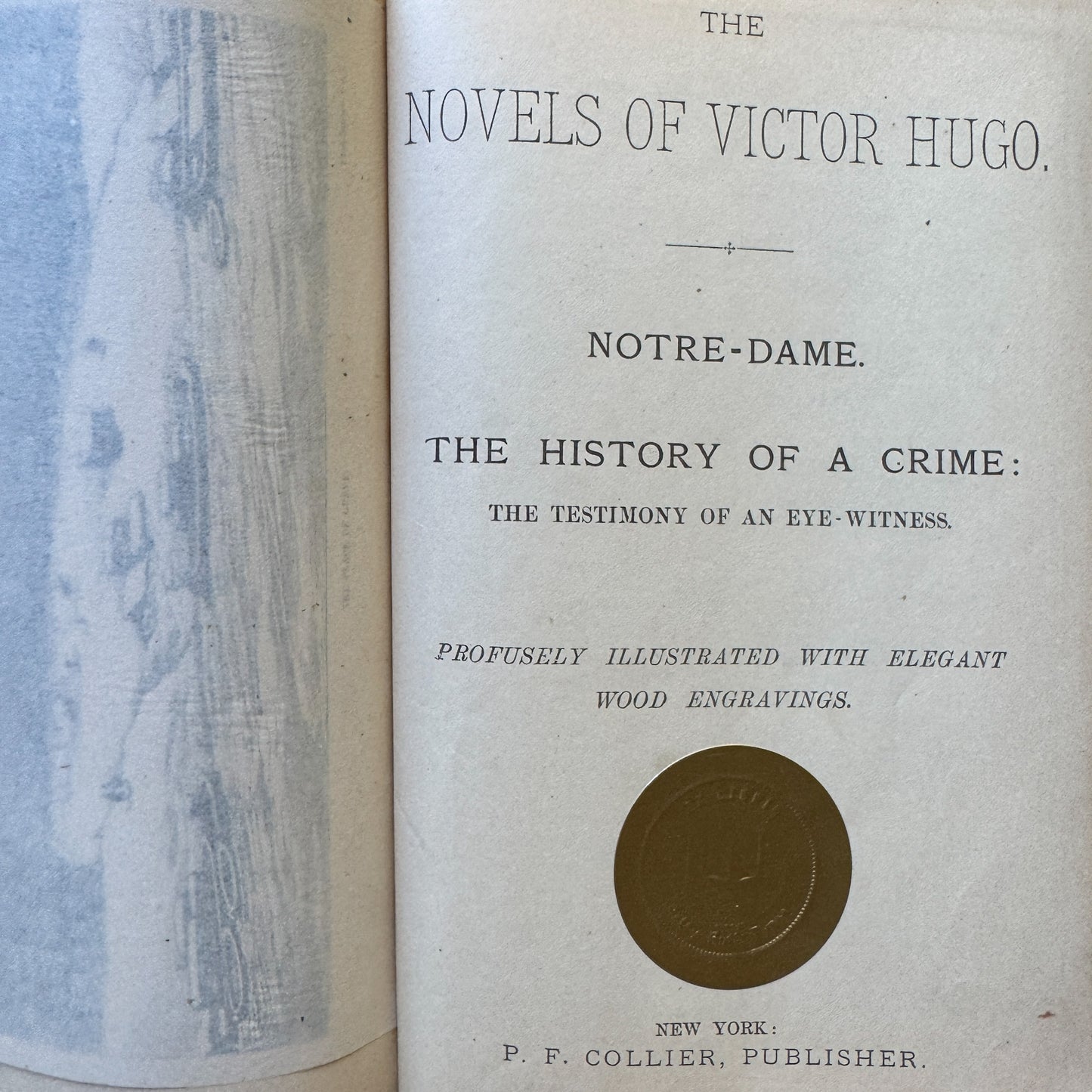 The Works of Victor Hugo, Illustrated, Partial Set, Antique Collier Brown Oversized Hardcovers