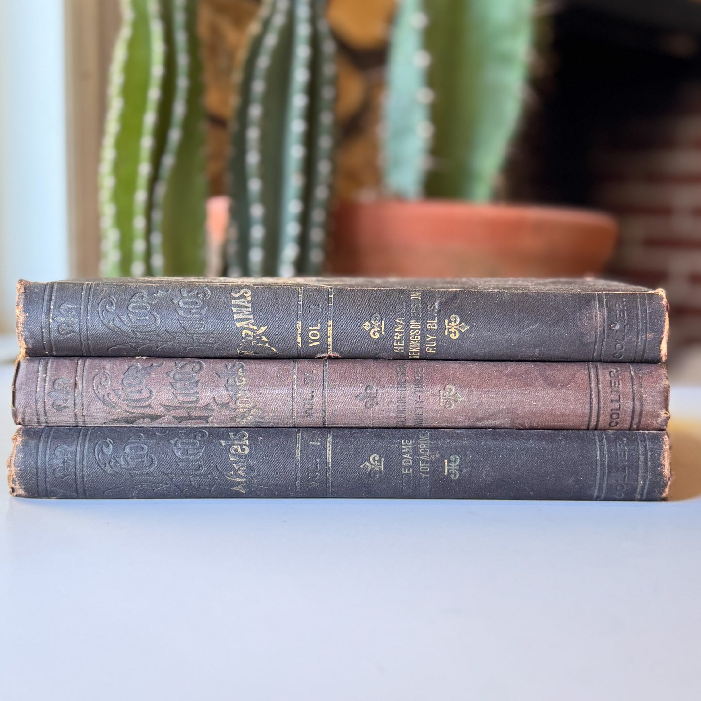 The Works of Victor Hugo, Illustrated, Partial Set, Antique Collier Brown Oversized Hardcovers