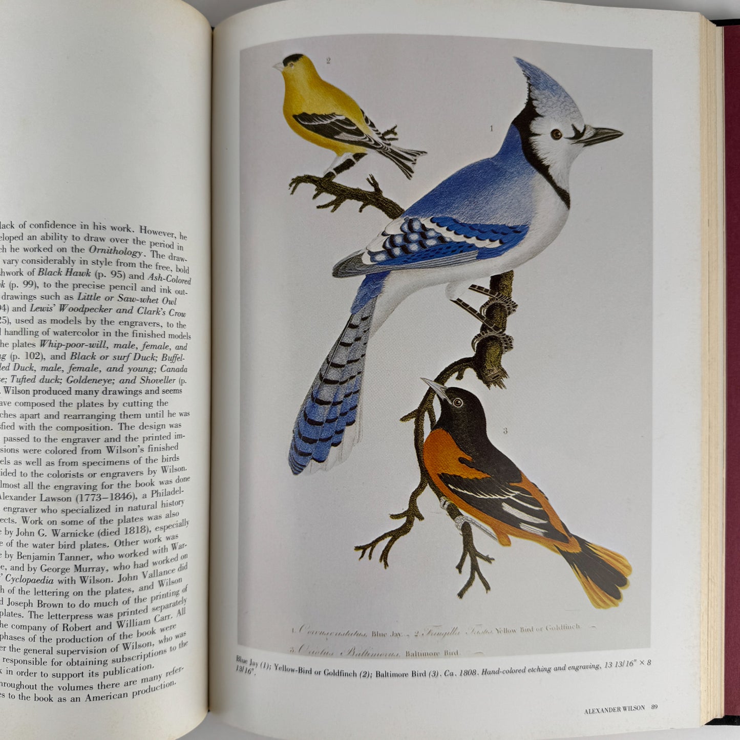 American Wildlife Painting, 1975, Fuertes, Audubon, Heade, Wilson, Thayer, Catesby