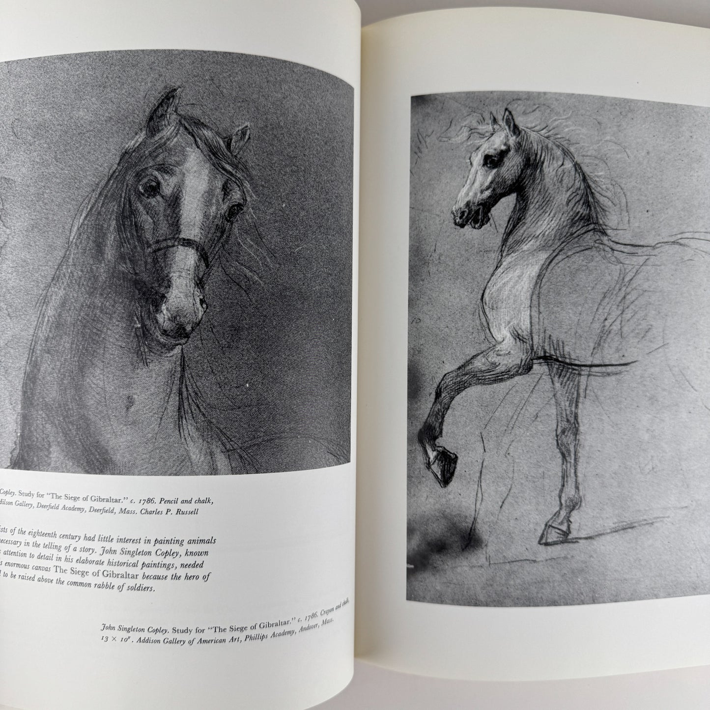 An American Bestiary, 1979, Illustrated Coffee Table Book