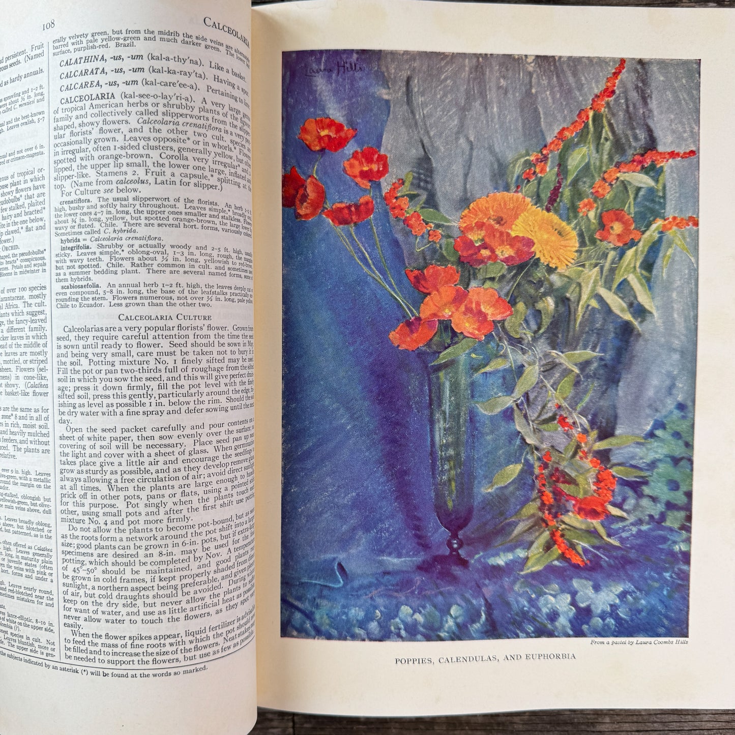 The Garden Dictionary, Norman Taylor, 1938