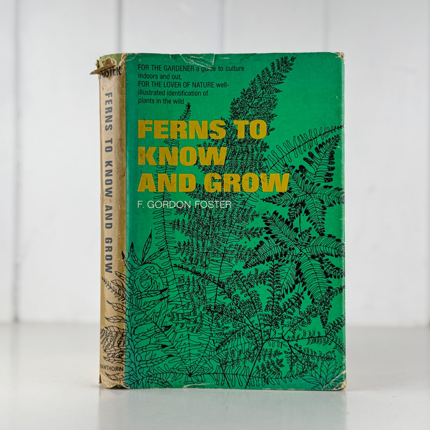 Ferns to Know and Grow, 1971, Illustrated Nature Book
