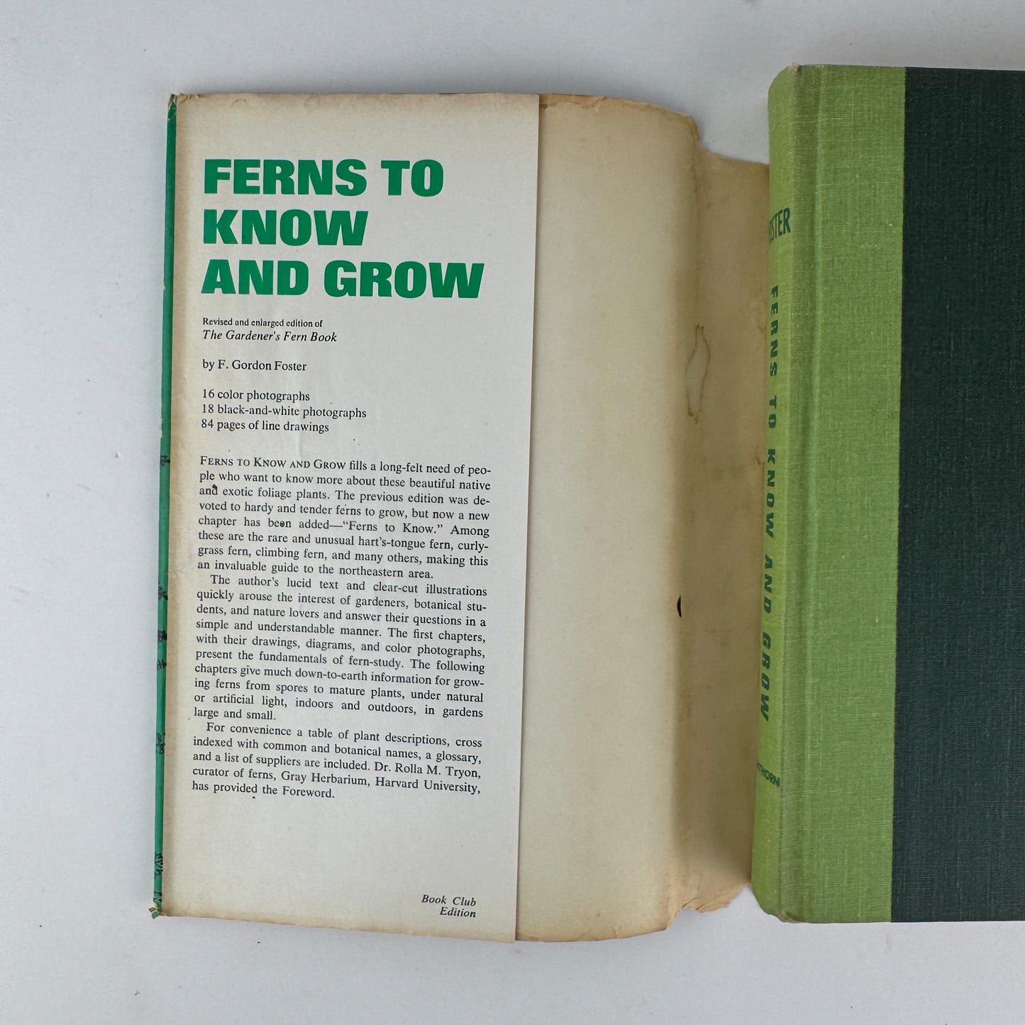 Ferns to Know and Grow, 1971, Illustrated Nature Book