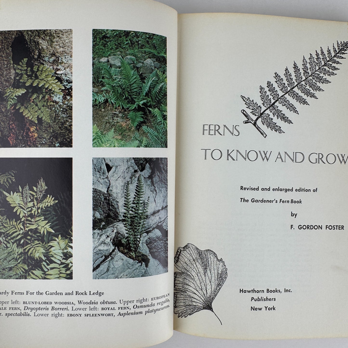 Ferns to Know and Grow, 1971, Illustrated Nature Book