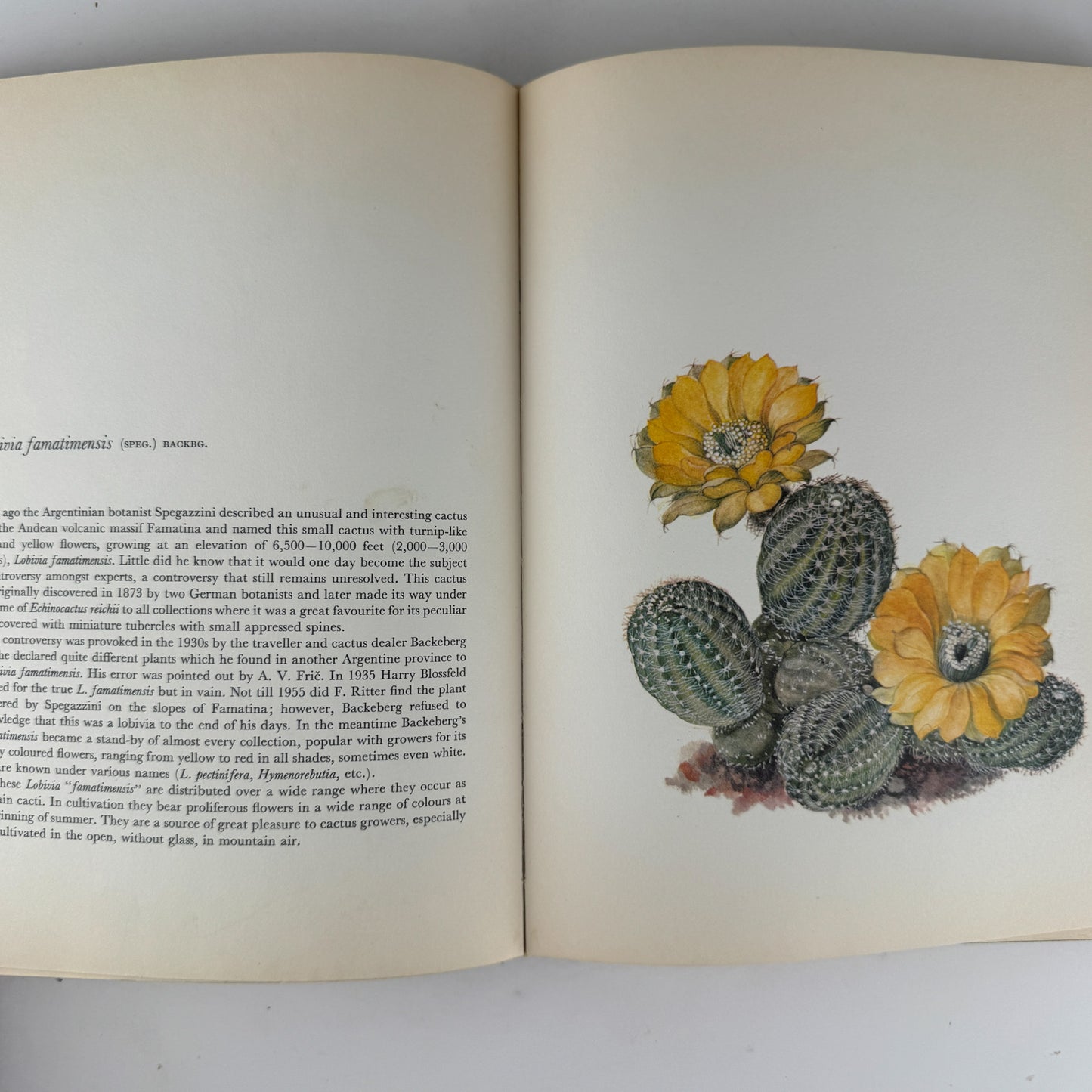 Decorative Cacti: A Guide to Succulent House Plants, 1972, J. Kaplicka, Botanical Art