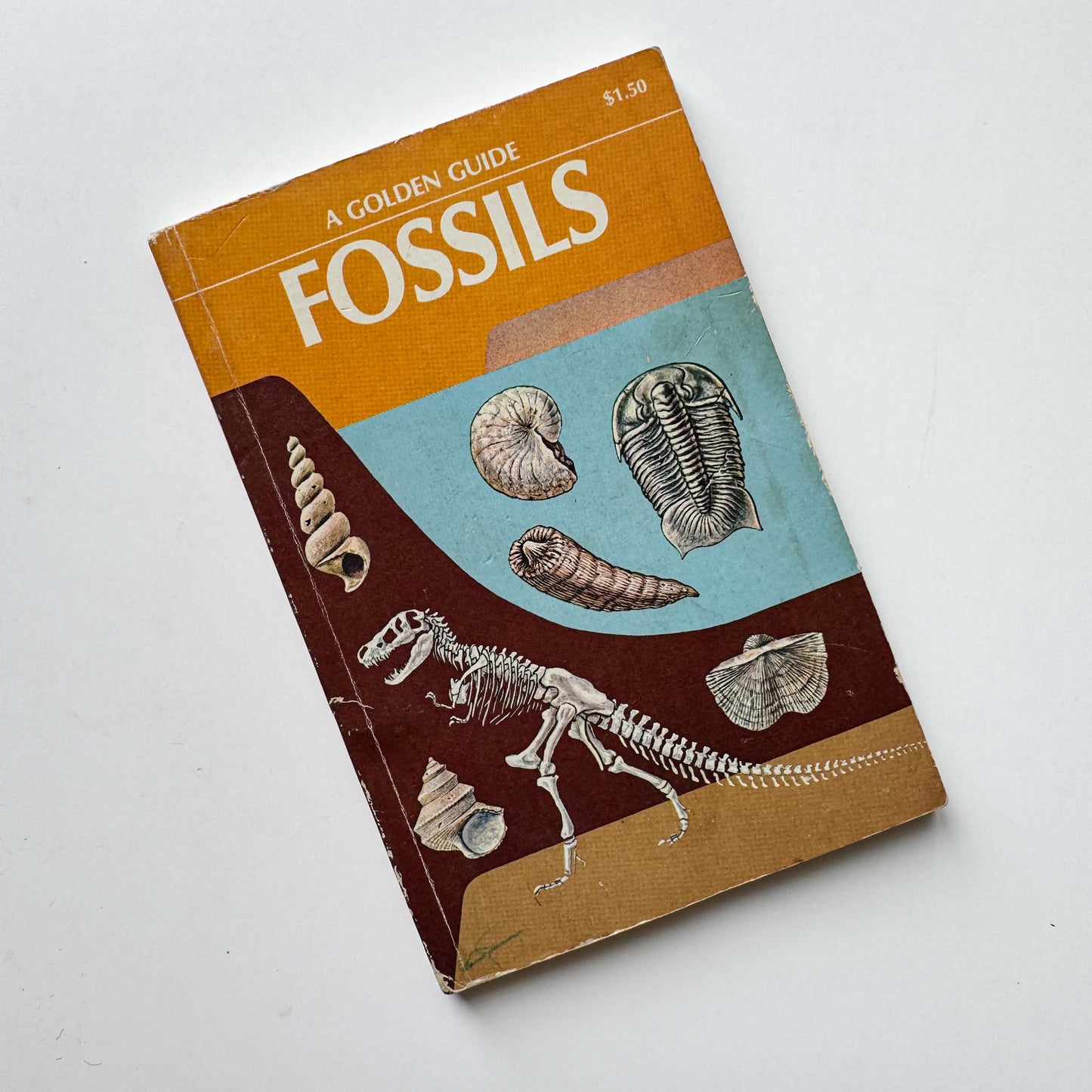 Fossils A Golden Guide Paperback 1962