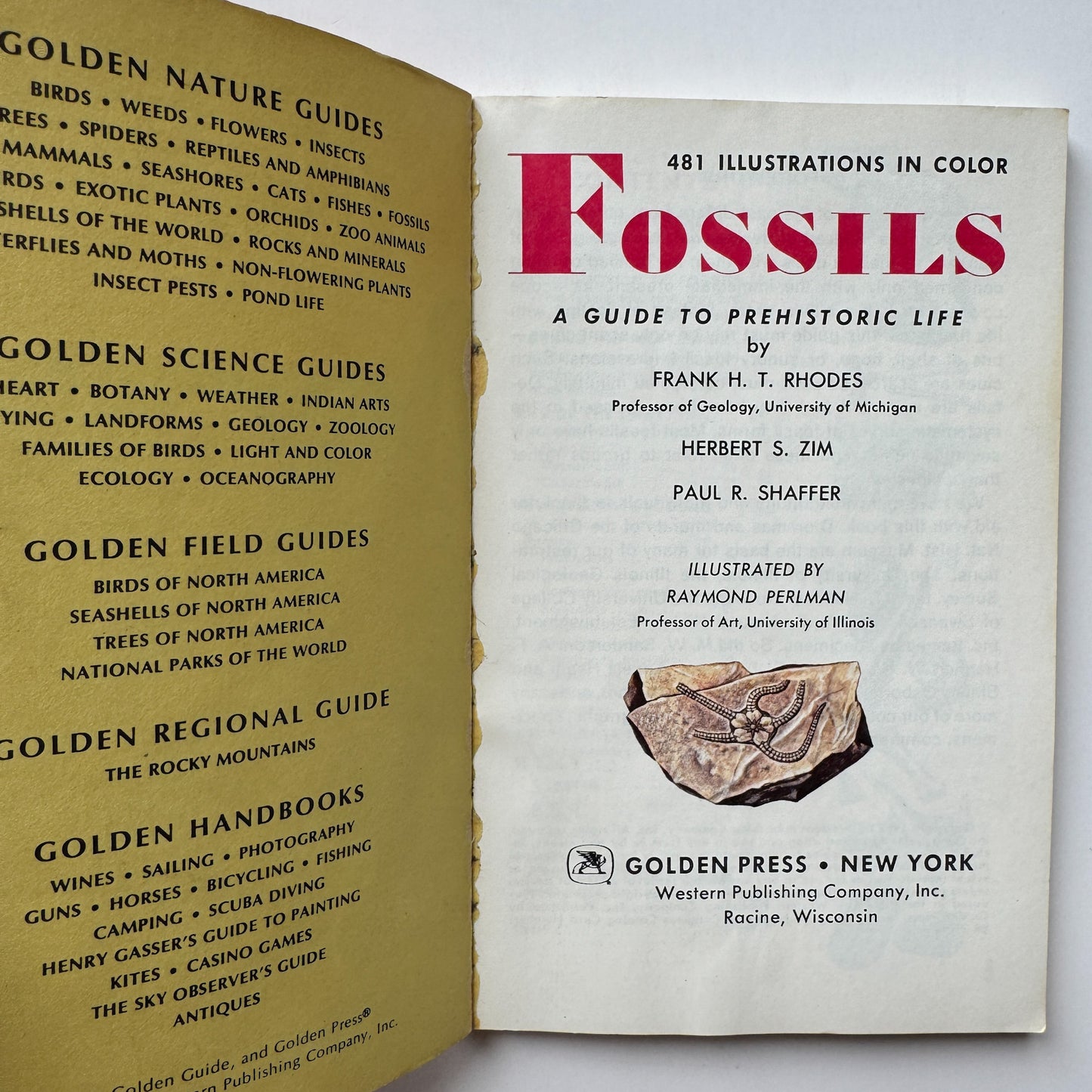 Fossils A Golden Guide Paperback 1962