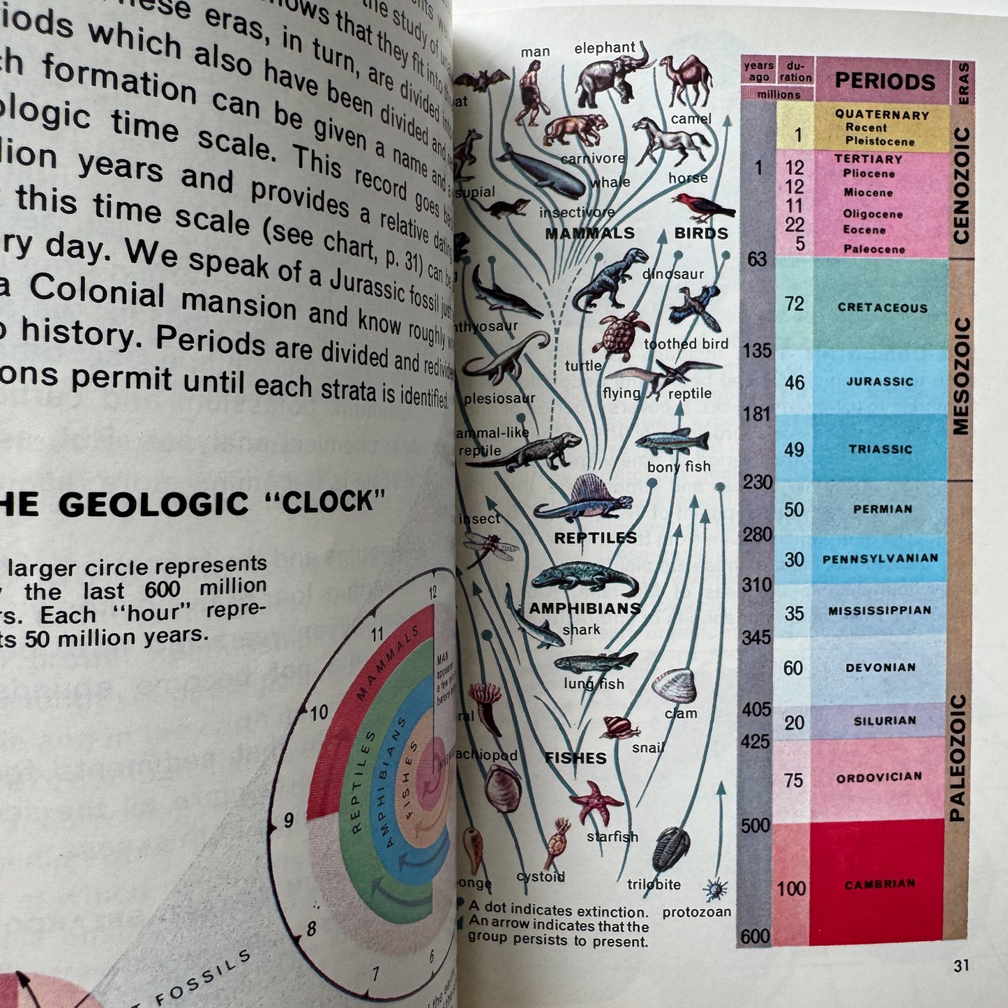 Fossils A Golden Guide Paperback 1962