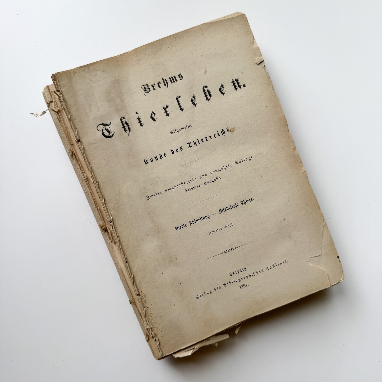 Brehm’s Life of Animals: A General Account of the Animal Kingdom, 1884