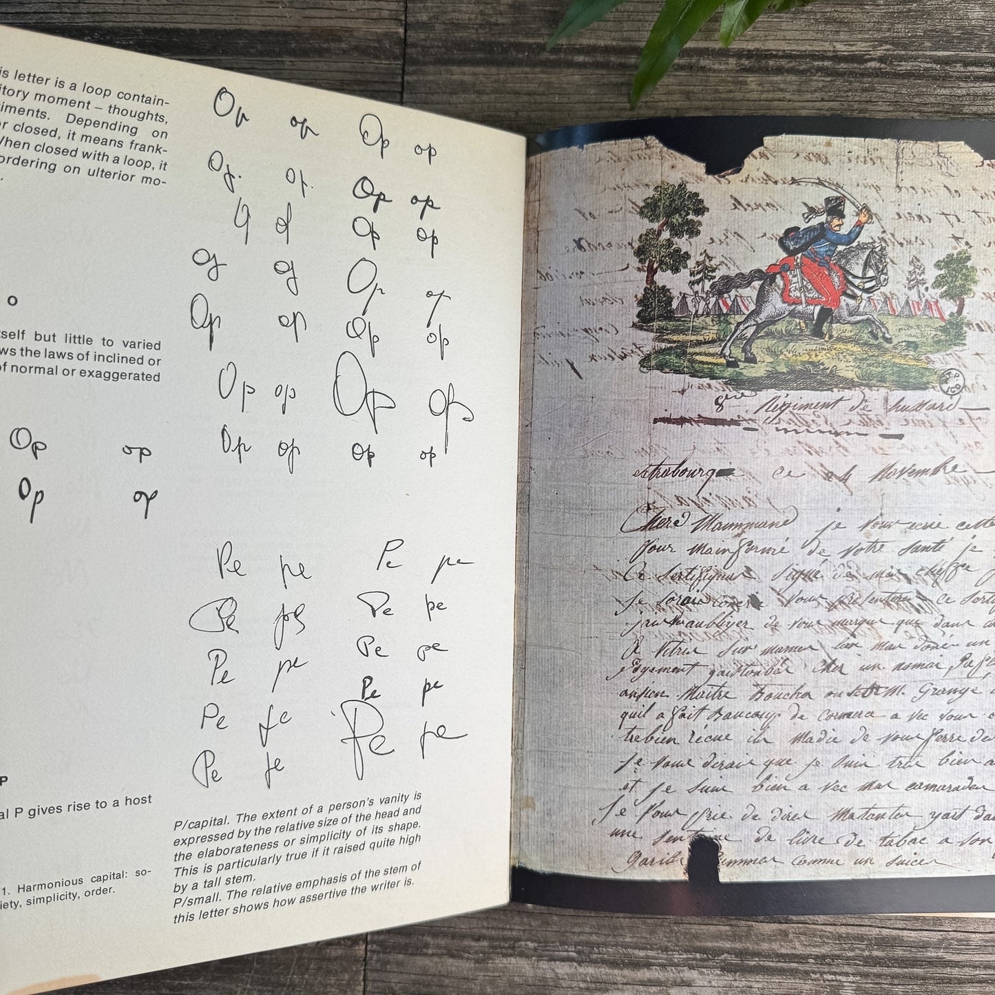 Graphology, Monique Le Guen, 1976 Handwriting Analysis