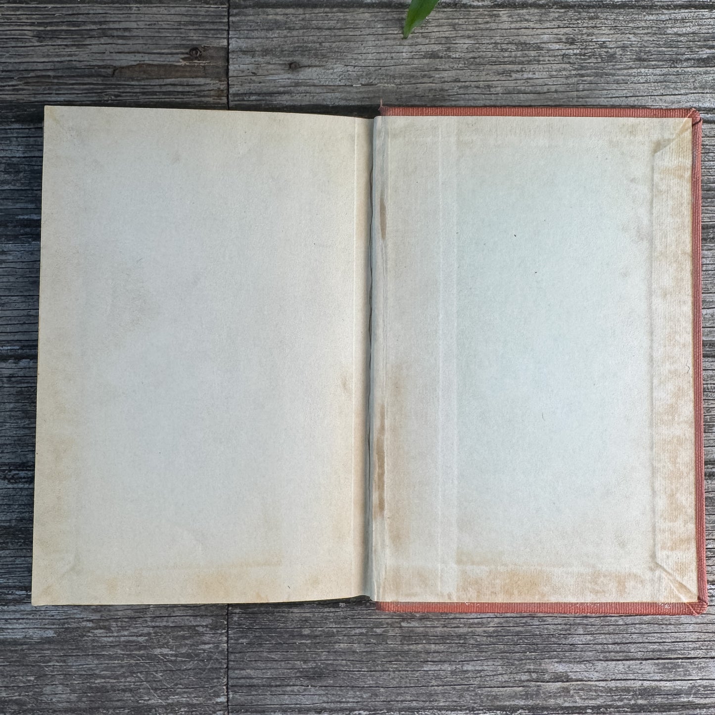 Not Mrs. Murphy, Patricia Gordon, 1942, First Edition