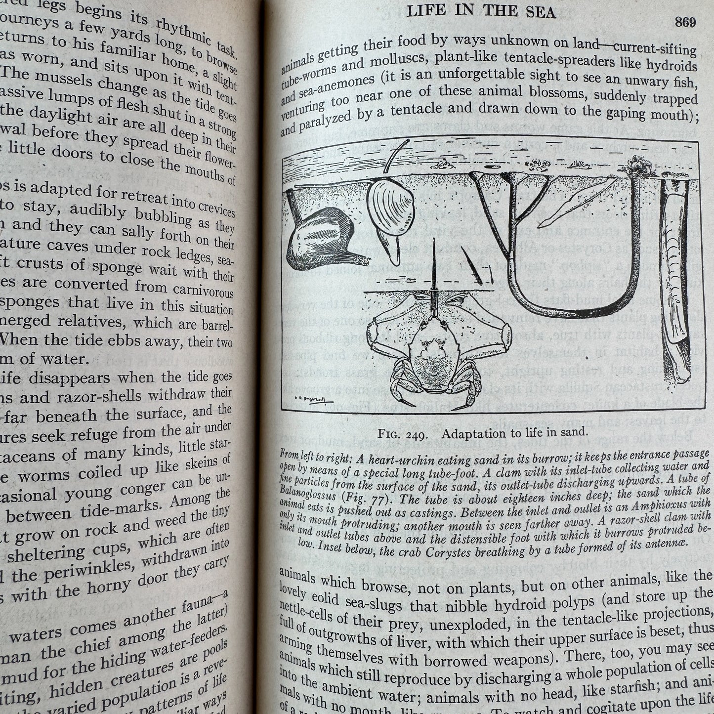 The Science of Life, H. G. Wells, Julian S. Huxley, G. P. Wells, 1934