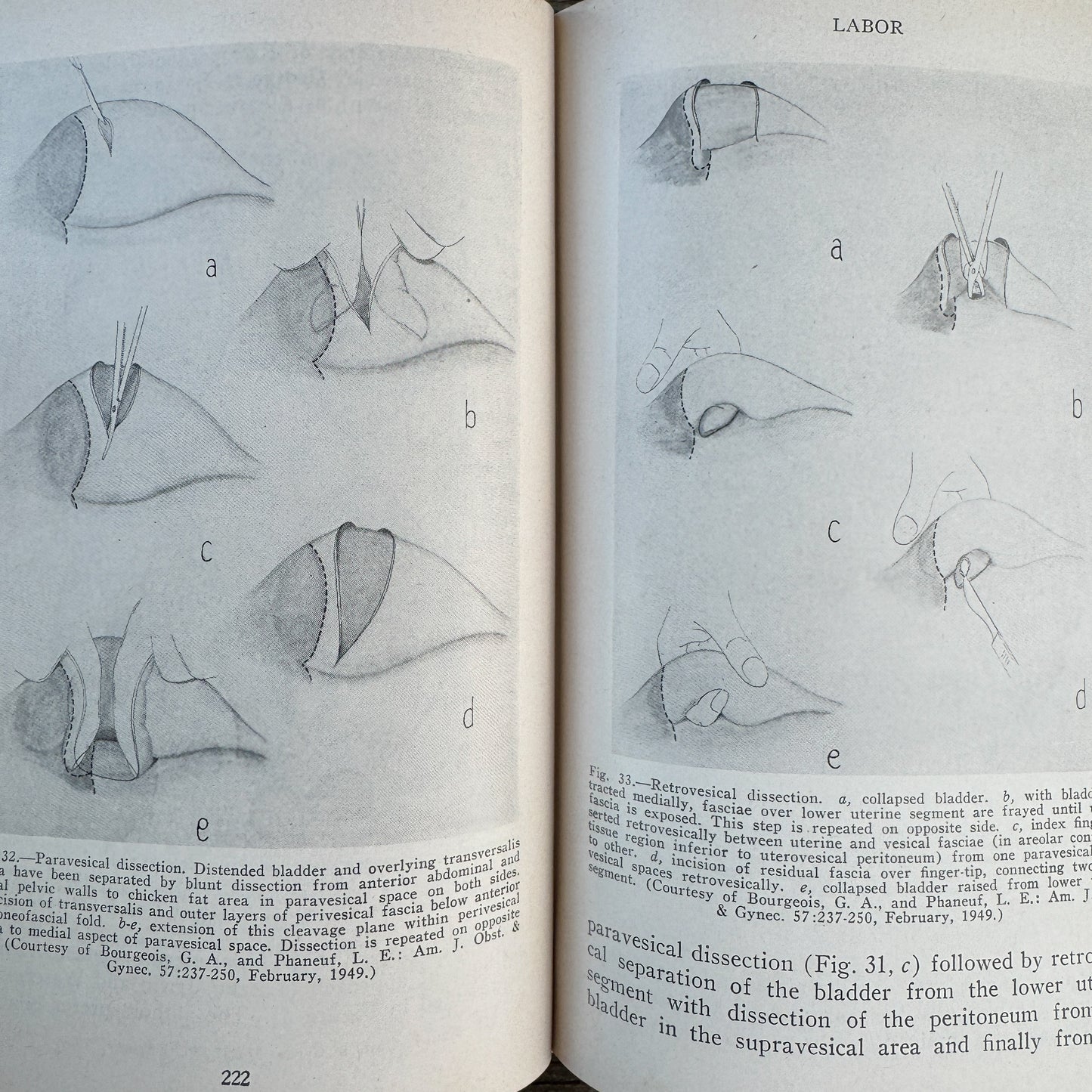 The 1949 Year Book of Obstetrics and Gynecology