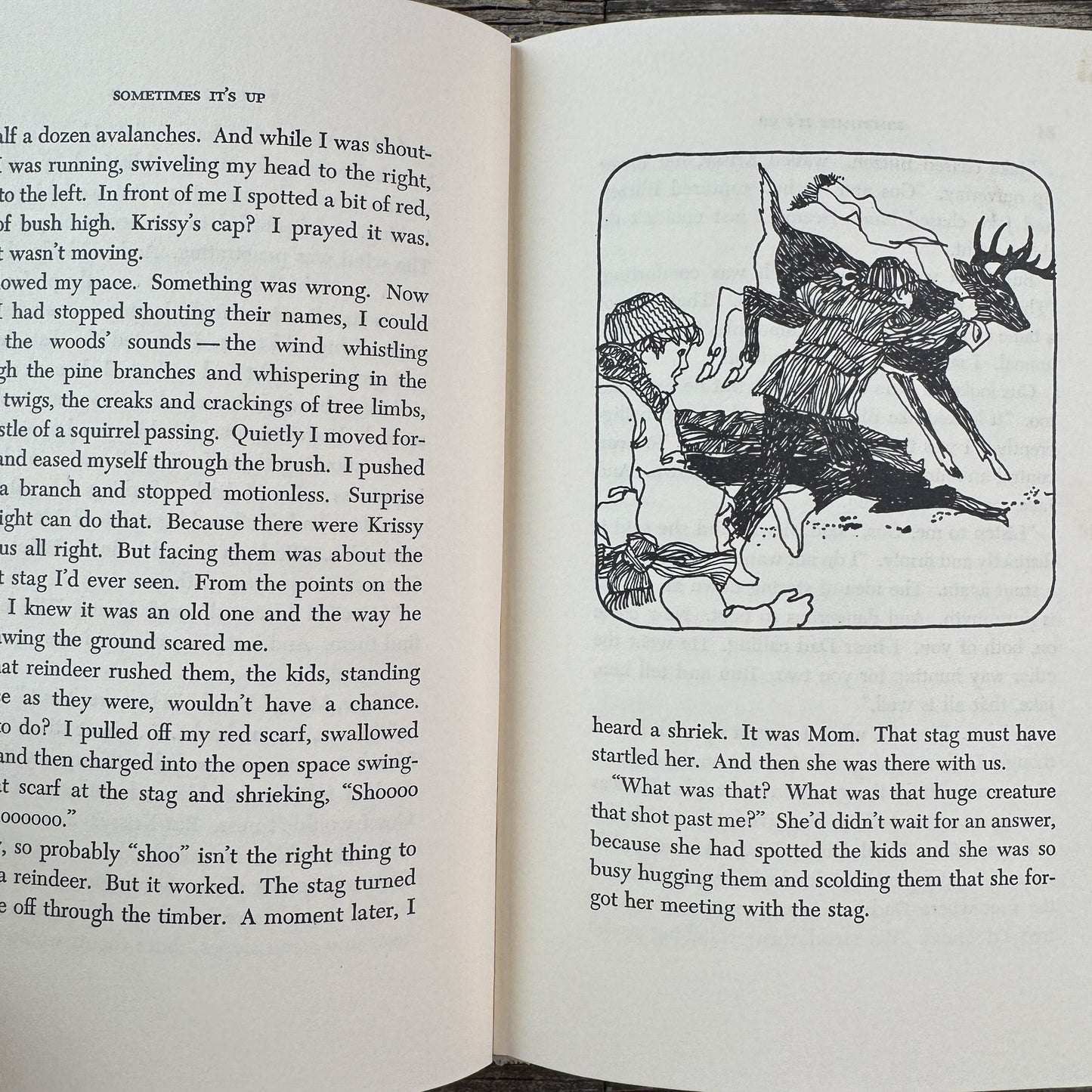 Sometimes It's Up, Ruth Christoffer Carlsen, 1971 First Edition