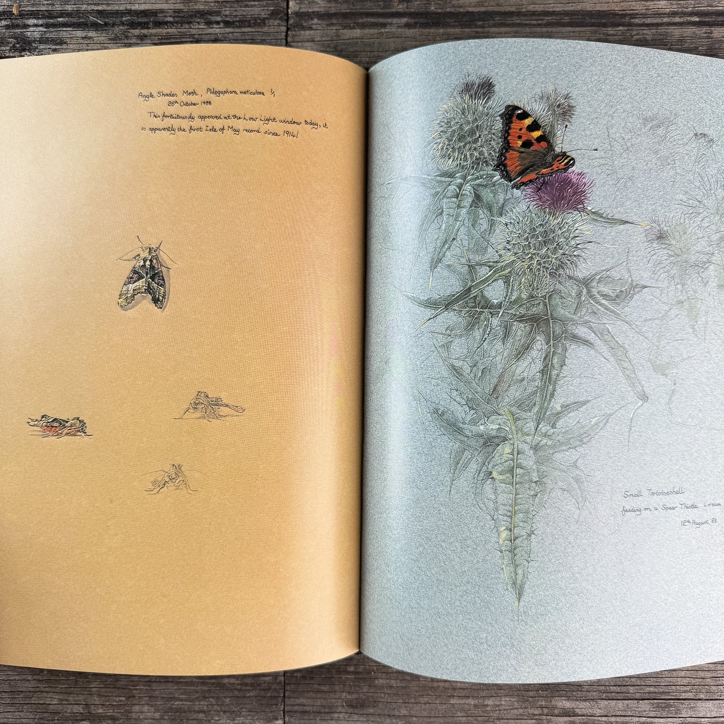 One Man's Island: A Naturalist's Year, Keith Brockie, 1984