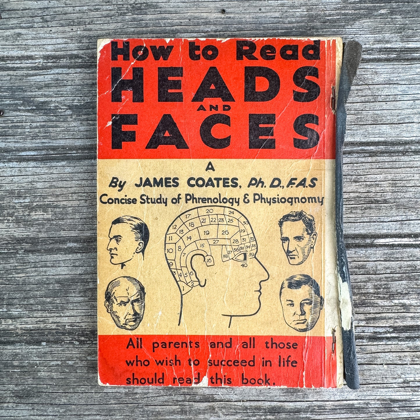 How to Read Heads and Faces, James Coates