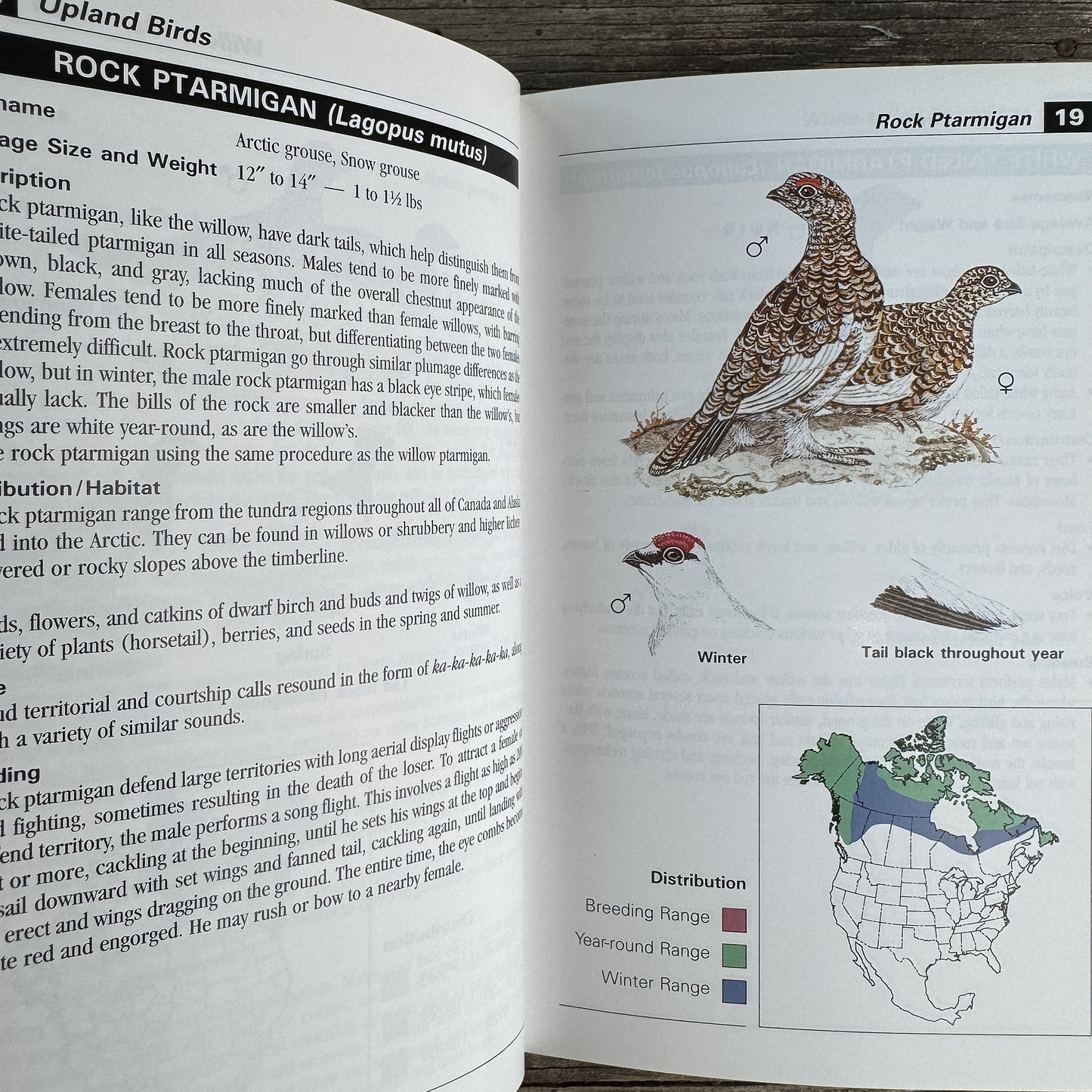 Field Guide to Upland Birds and Waterfowl, Christopher S. Smith, 2000