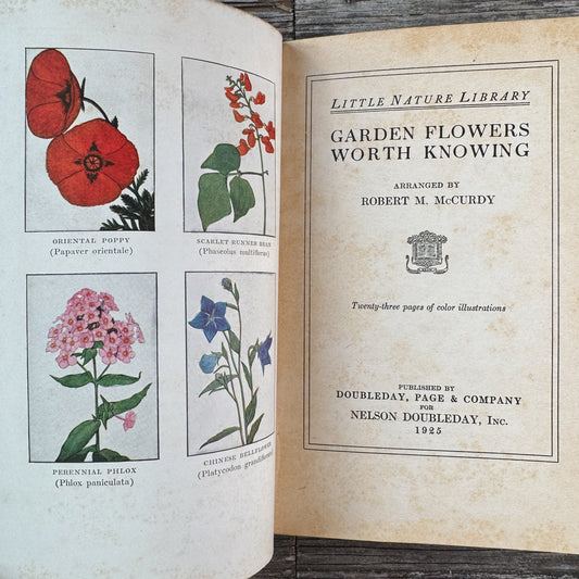 Little Nature Library: Garden Flowers Worth Knowing, 1925