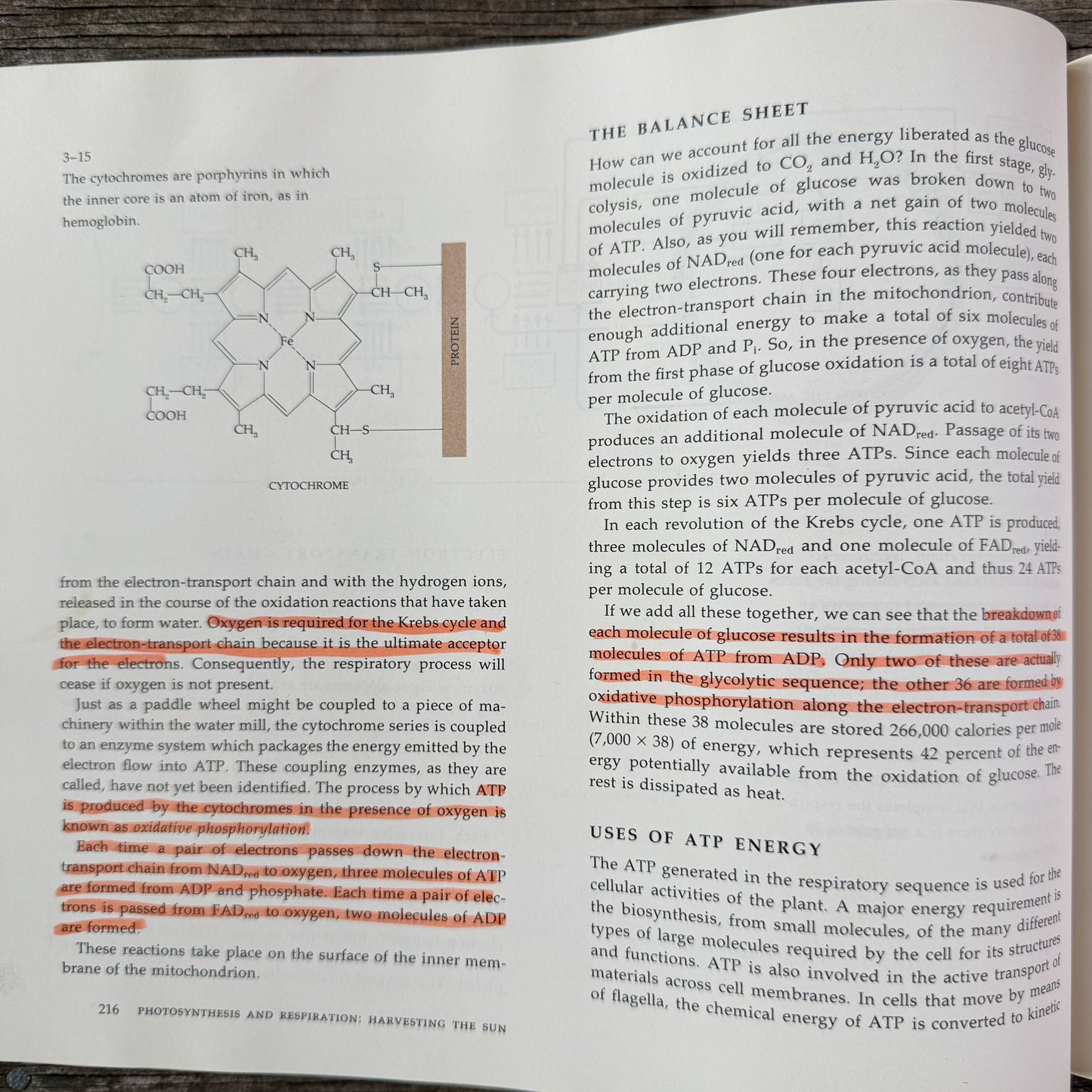 Biology of Plants, Peter Raven and Helena Curtis, 1971, Nature Study