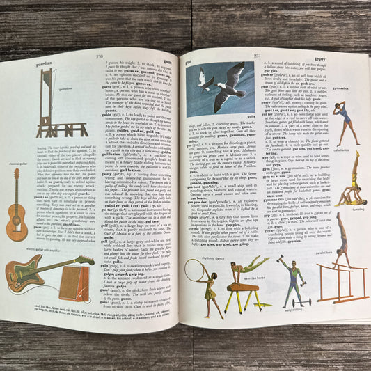 Dictionary of Basic Words, Vintage Children’s Illustrated Dictionary 1969
