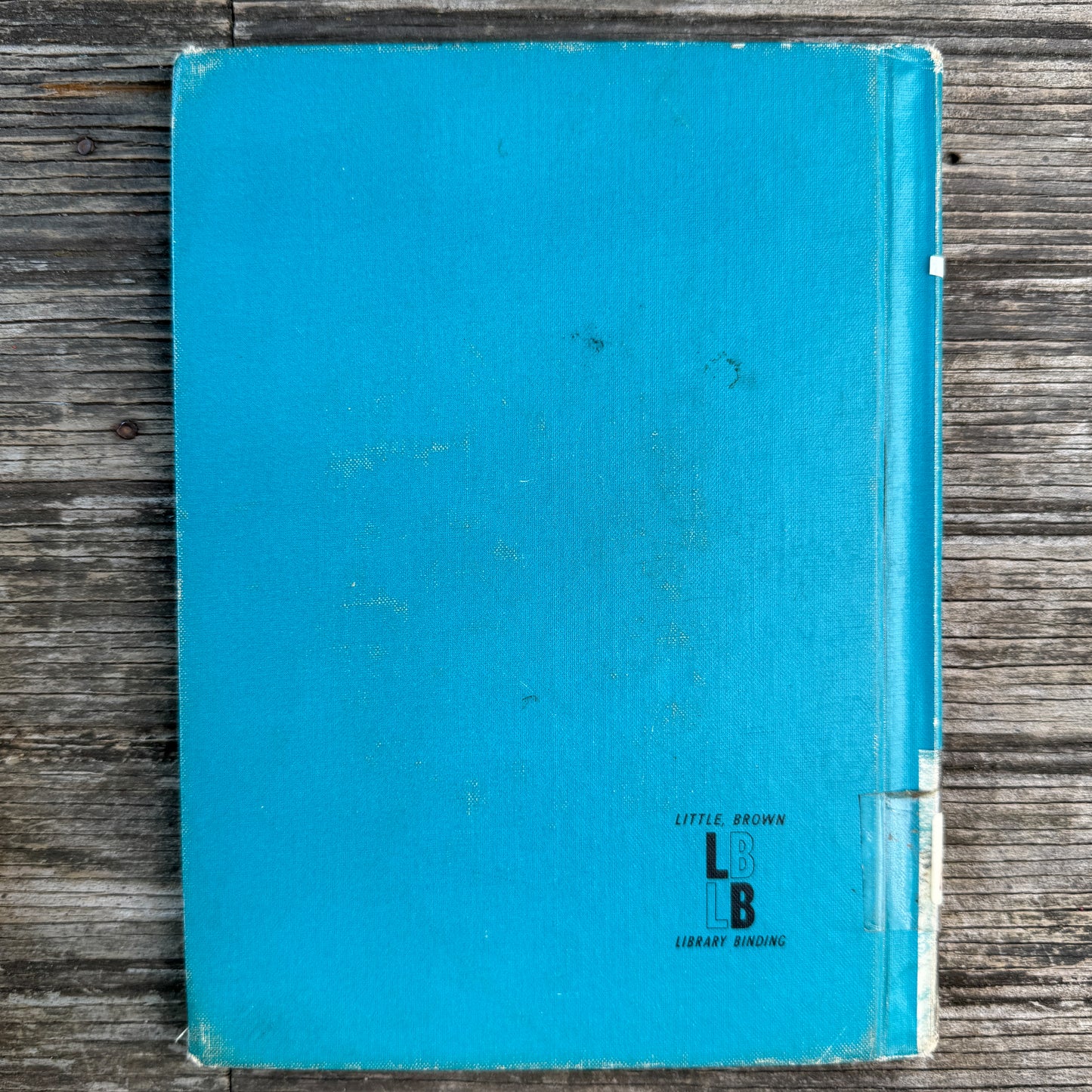 Little Hurricane Happy, Wilma Pitchford Hays, 1965