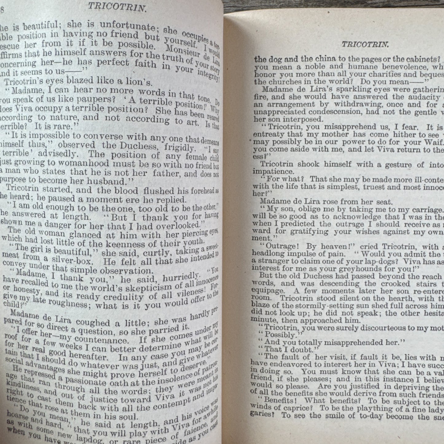 Tricotrin, Ouida, Street & Smith Edition, Antique Paris Fiction