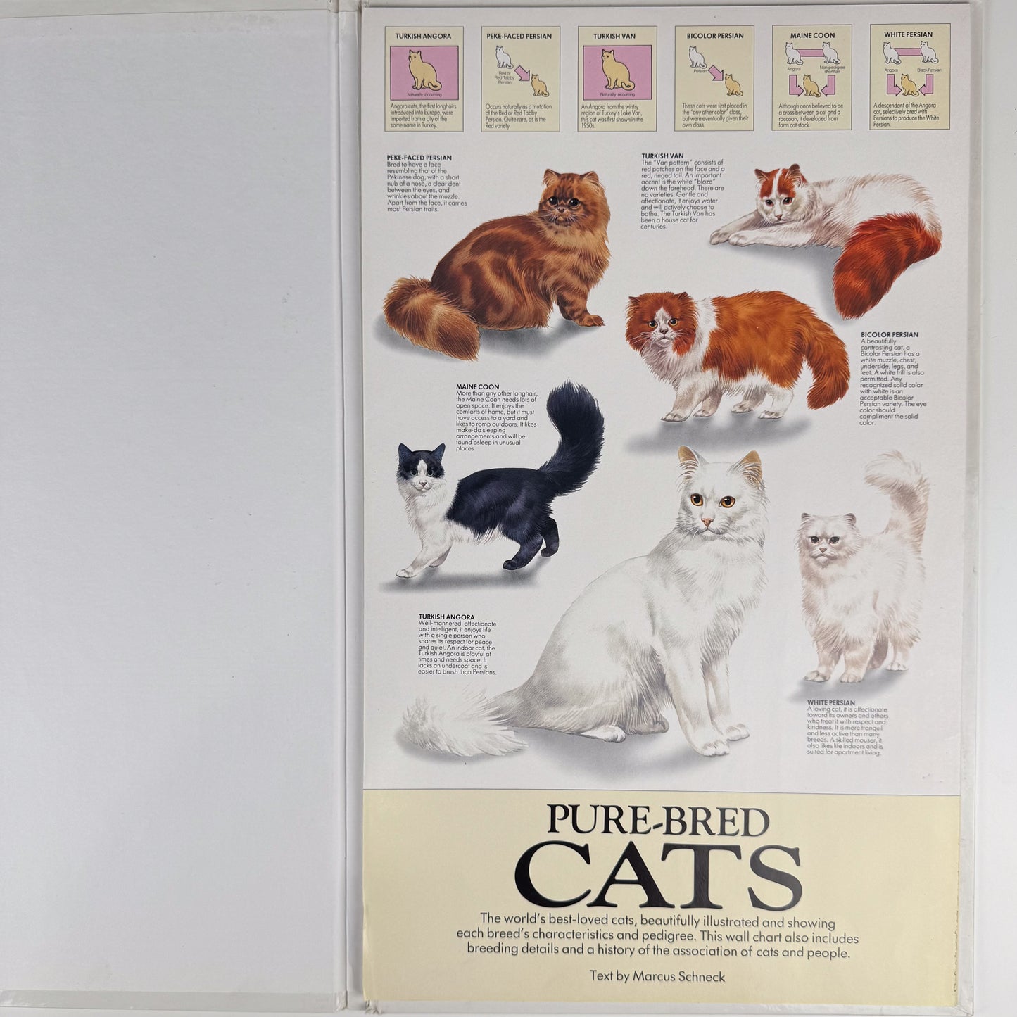 The Cat Wall Chart, Oversized 8-Foot Fold Out Identification Guide, 1991 Hardcover