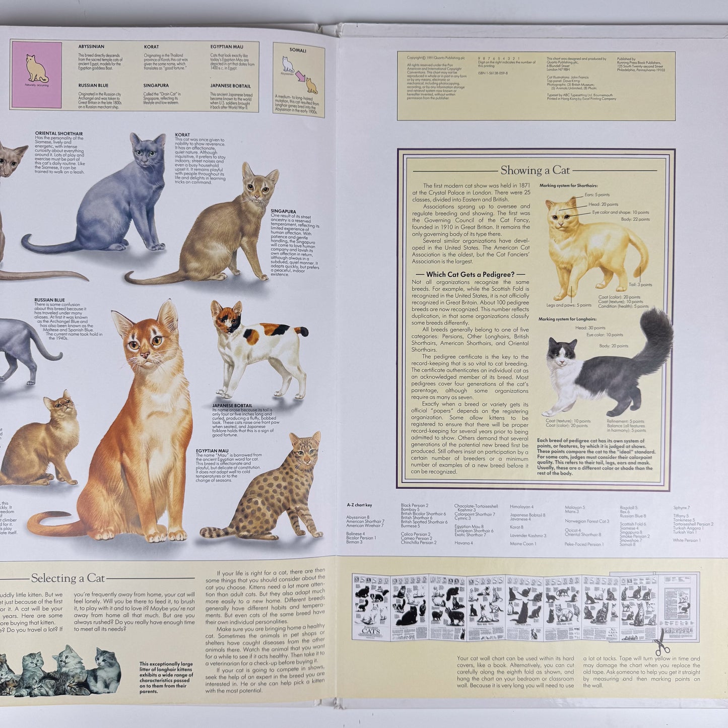 The Cat Wall Chart, Oversized 8-Foot Fold Out Identification Guide, 1991 Hardcover