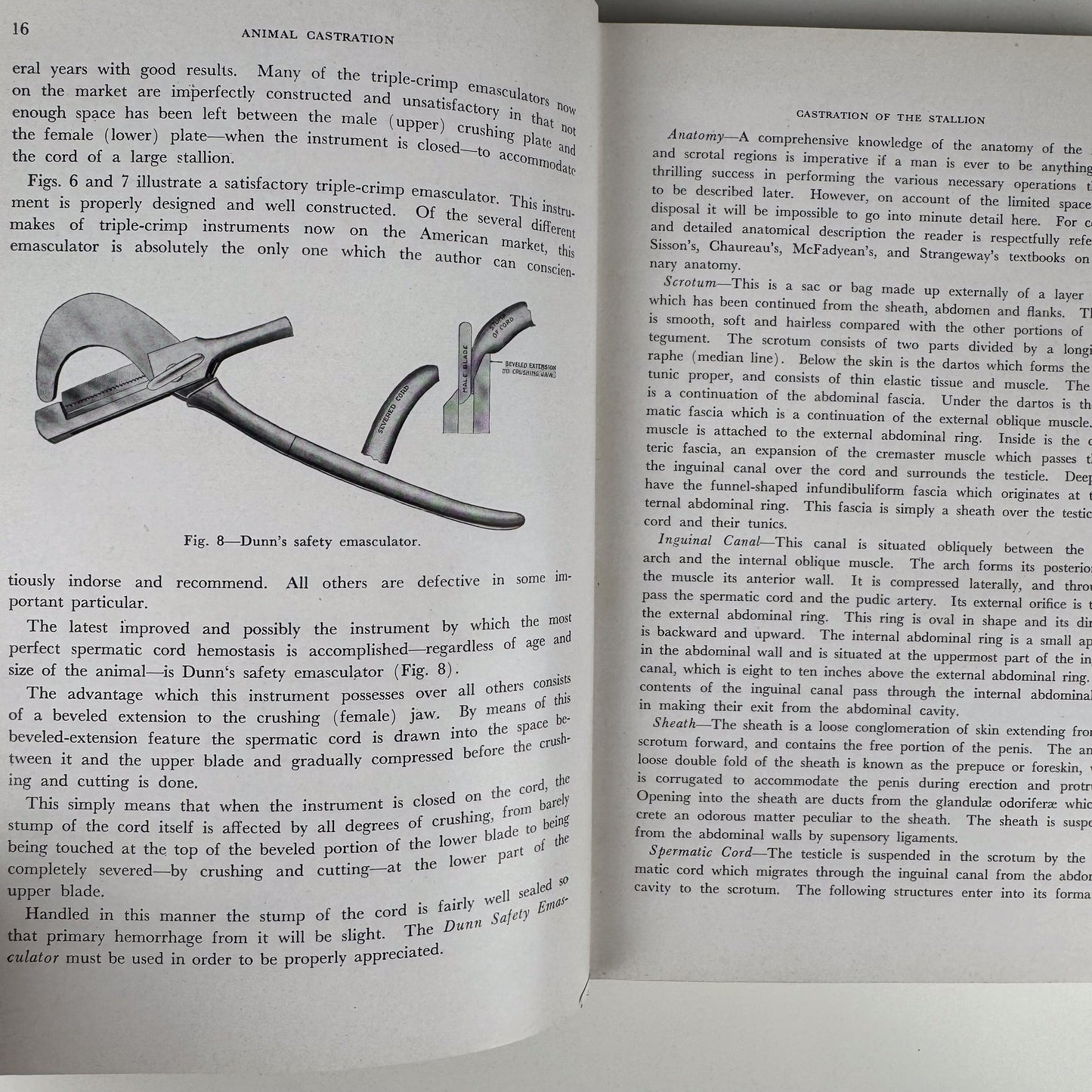 Animal Castration, 1947 Agricultural Textbook, Illustrated
