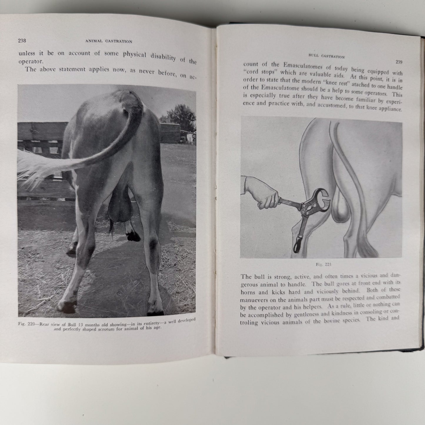 Animal Castration, 1947 Agricultural Textbook, Illustrated