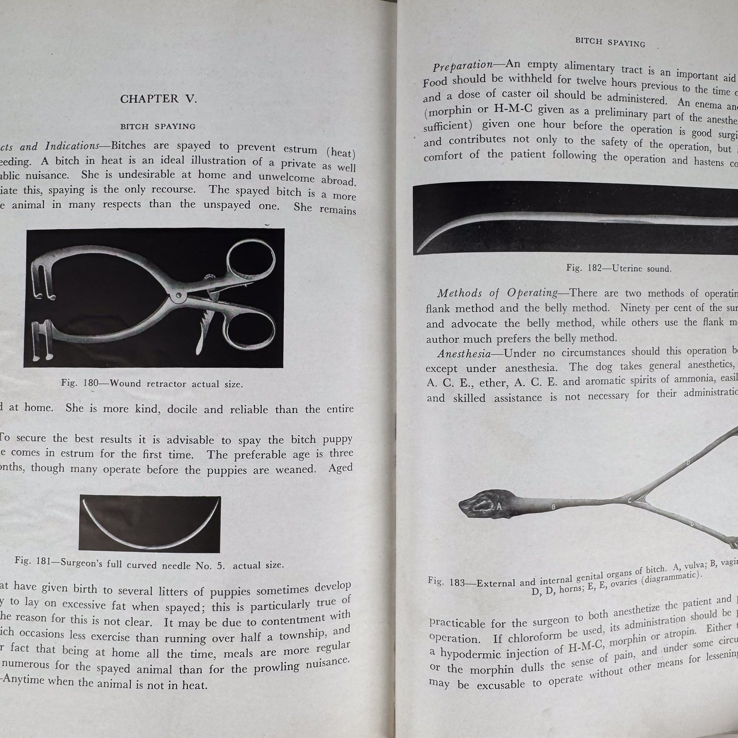Animal Castration, 1947 Agricultural Textbook, Illustrated