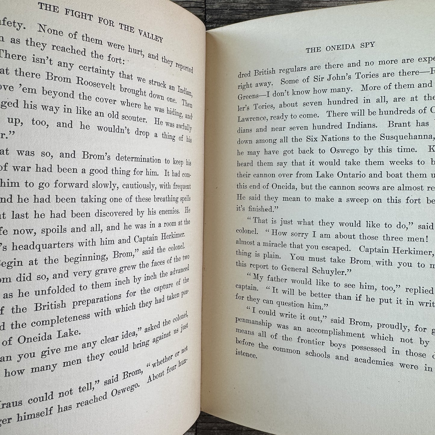 The Fight for the Valley, William O. Stoddard, 1904, Juvenile Historical Fiction