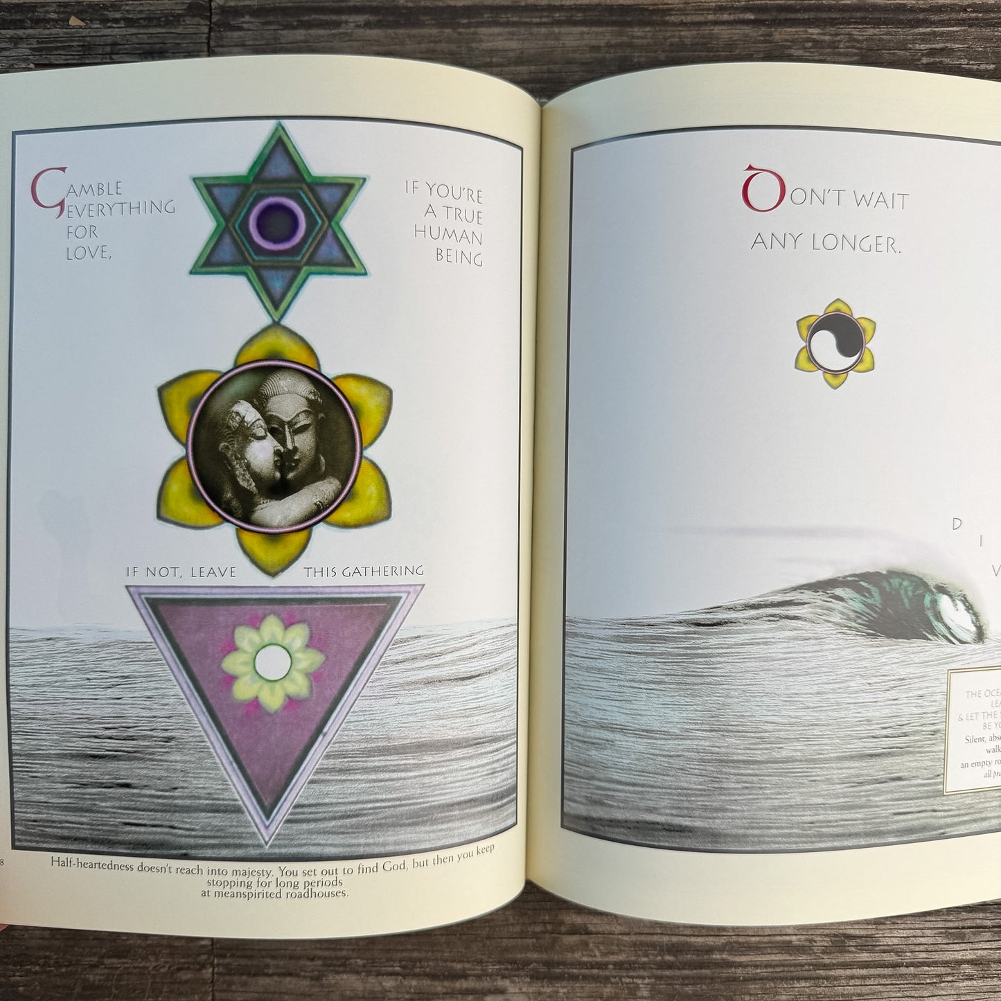 The Illuminated Rumi, 1997, First Edition Poetry Book