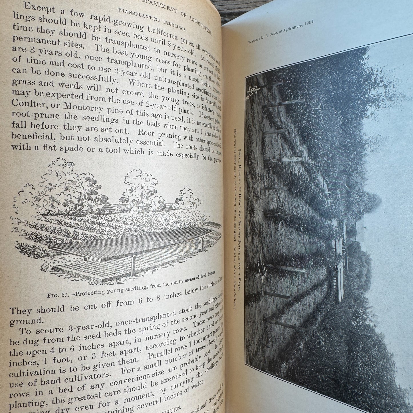 Yearbook of Agriculture 1905, U.S. Department of Agriculture, 1906