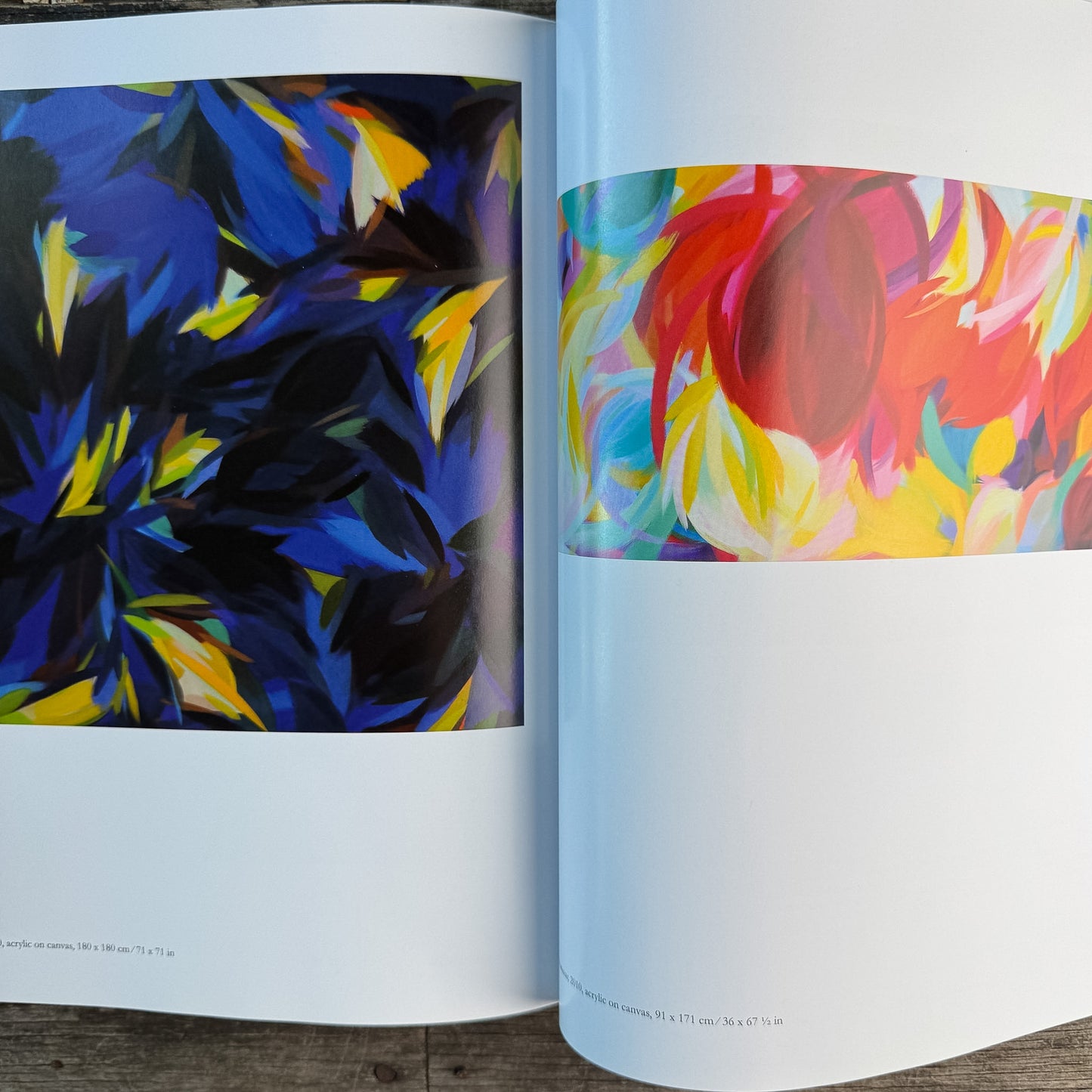 Samia Halaby: Five Decades of Painting and Innovation, Maymanah Farhat, 2013