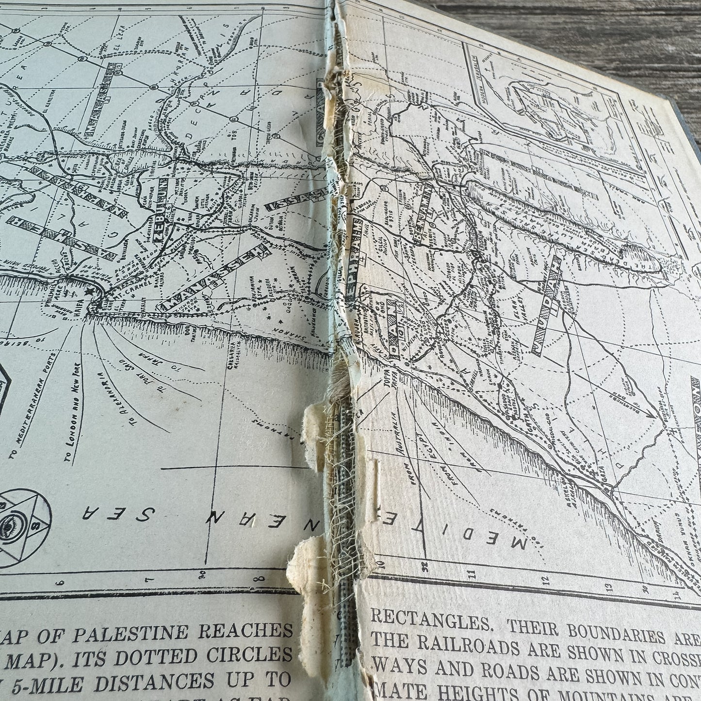 Palestine Speaks, A. F. Futterer, 1950