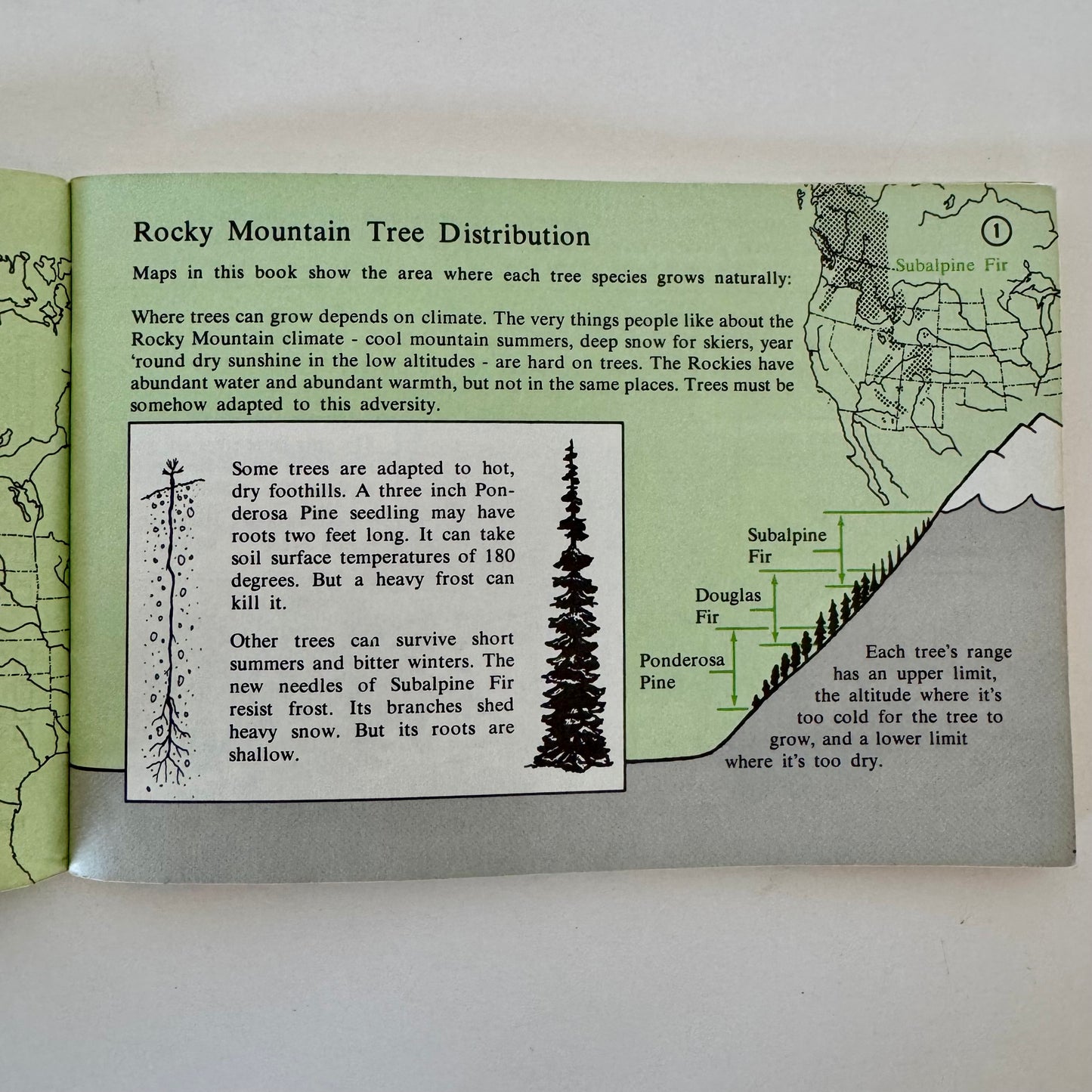 Rocky Mountain Tree Finder, 1972 Pocket Field Guide