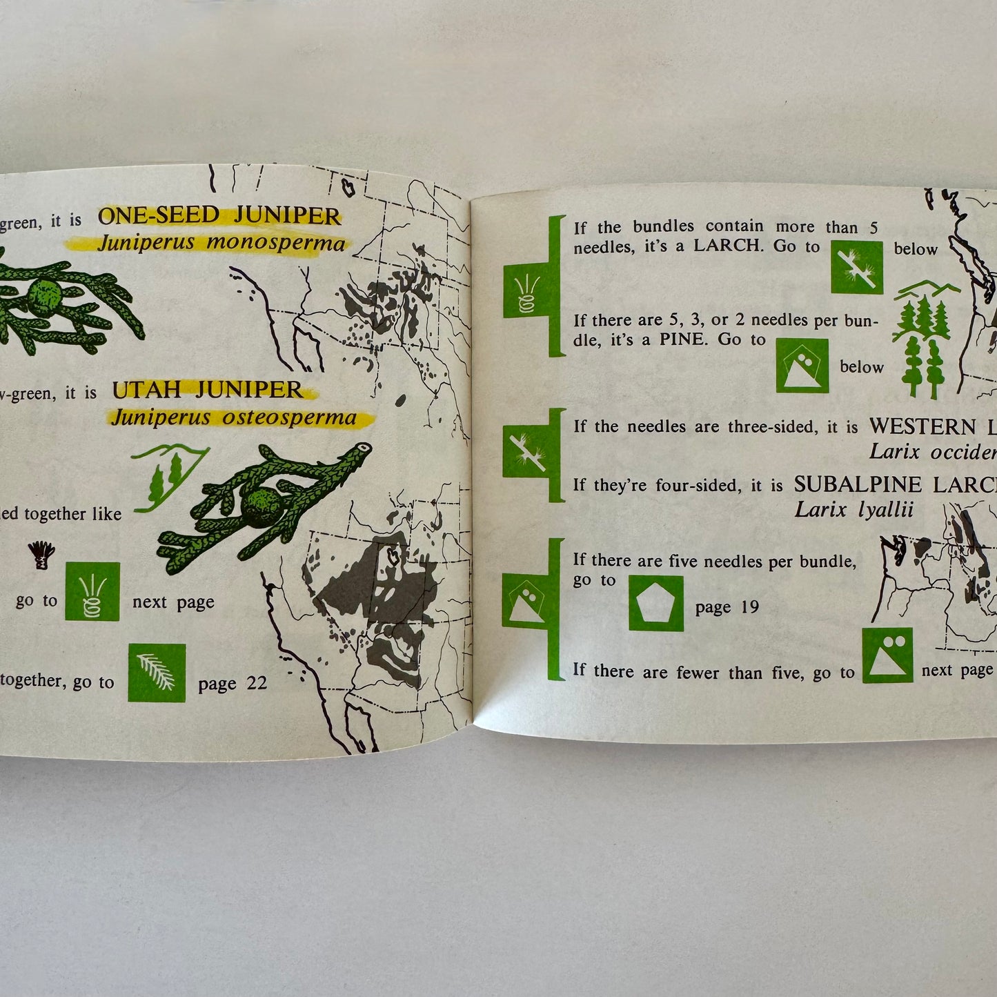 Rocky Mountain Tree Finder, 1972 Pocket Field Guide